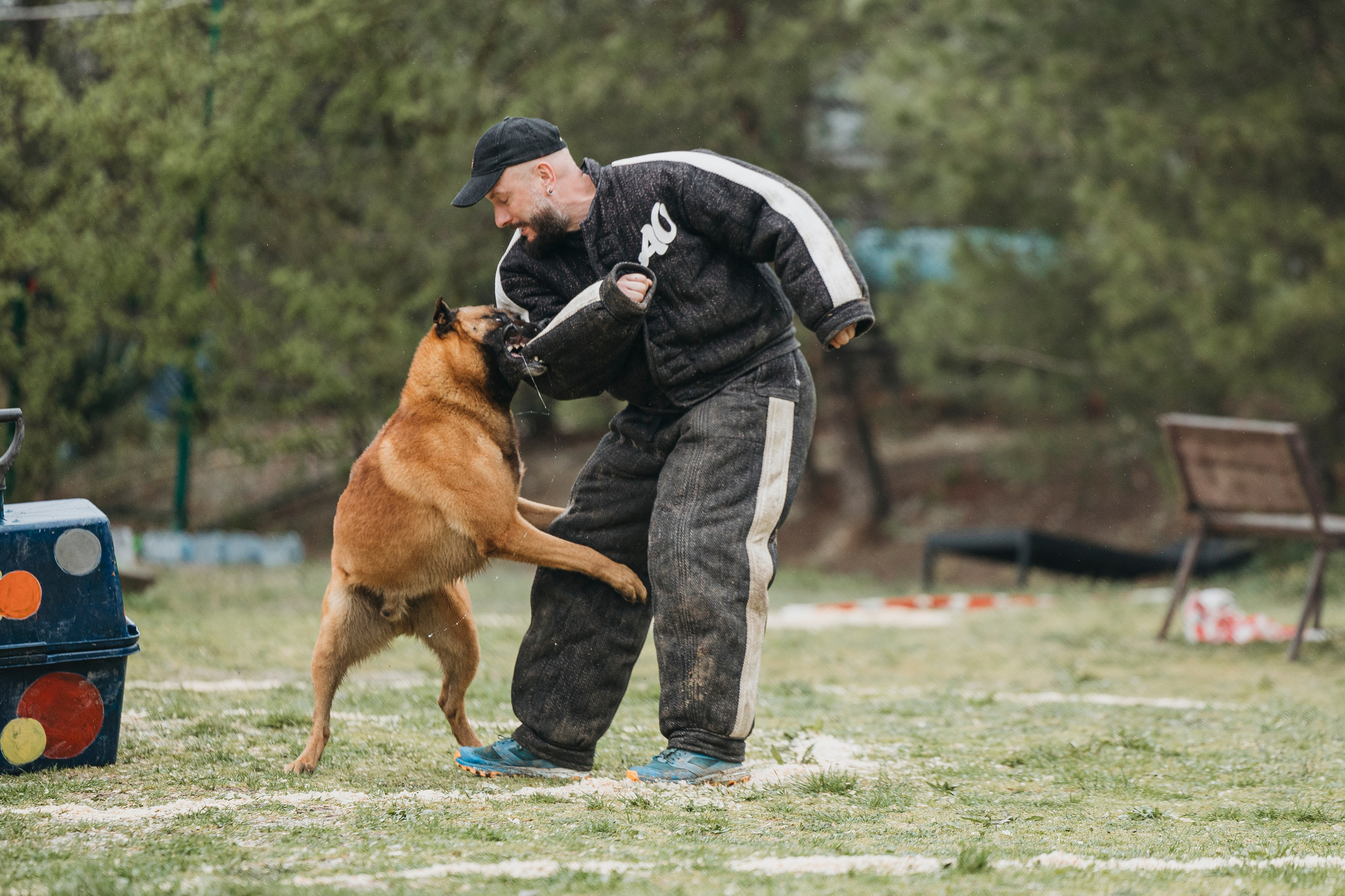 Геленджик Мондьоринг. Фотограф-анималист Анна Маринич