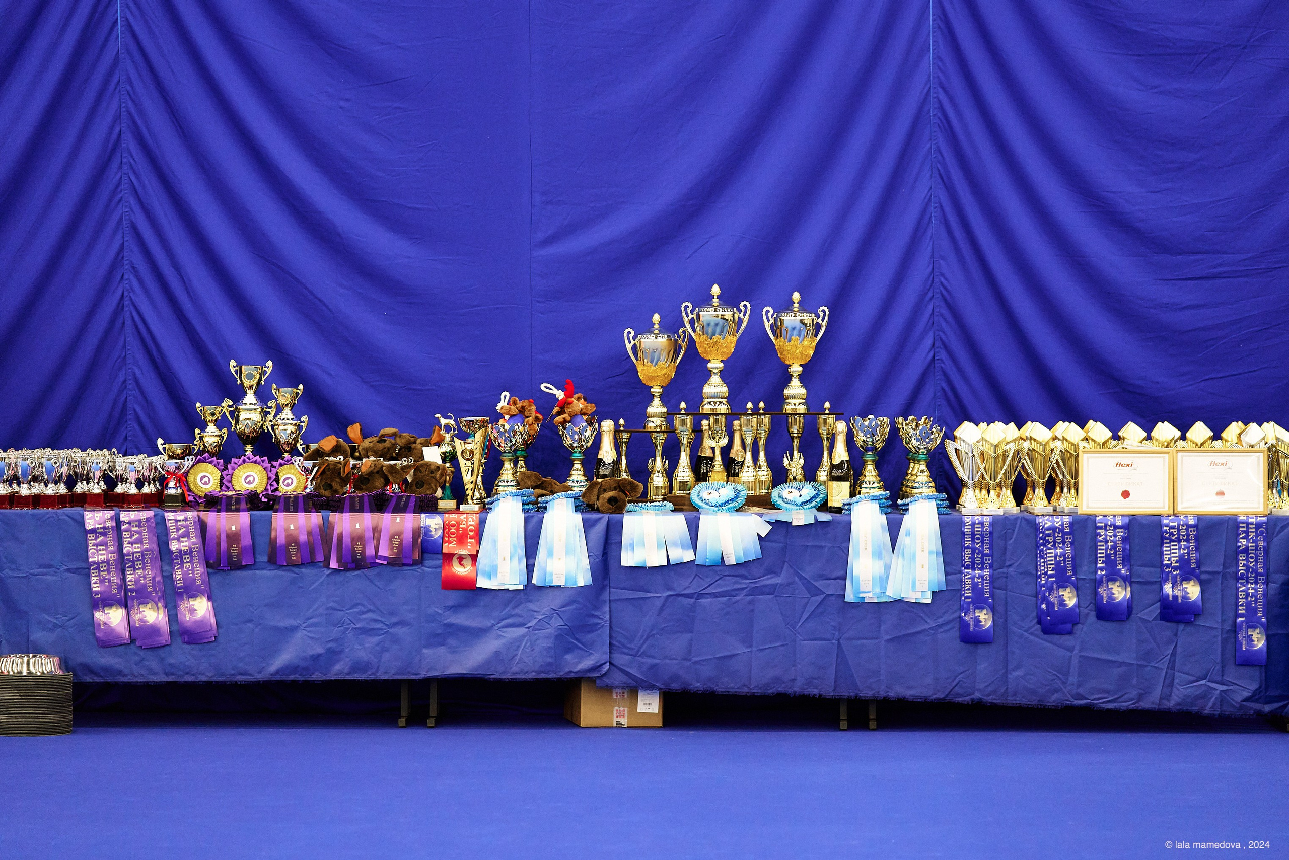 21.07.2024 | «БАЛТИК-ШОУ-2-2024»