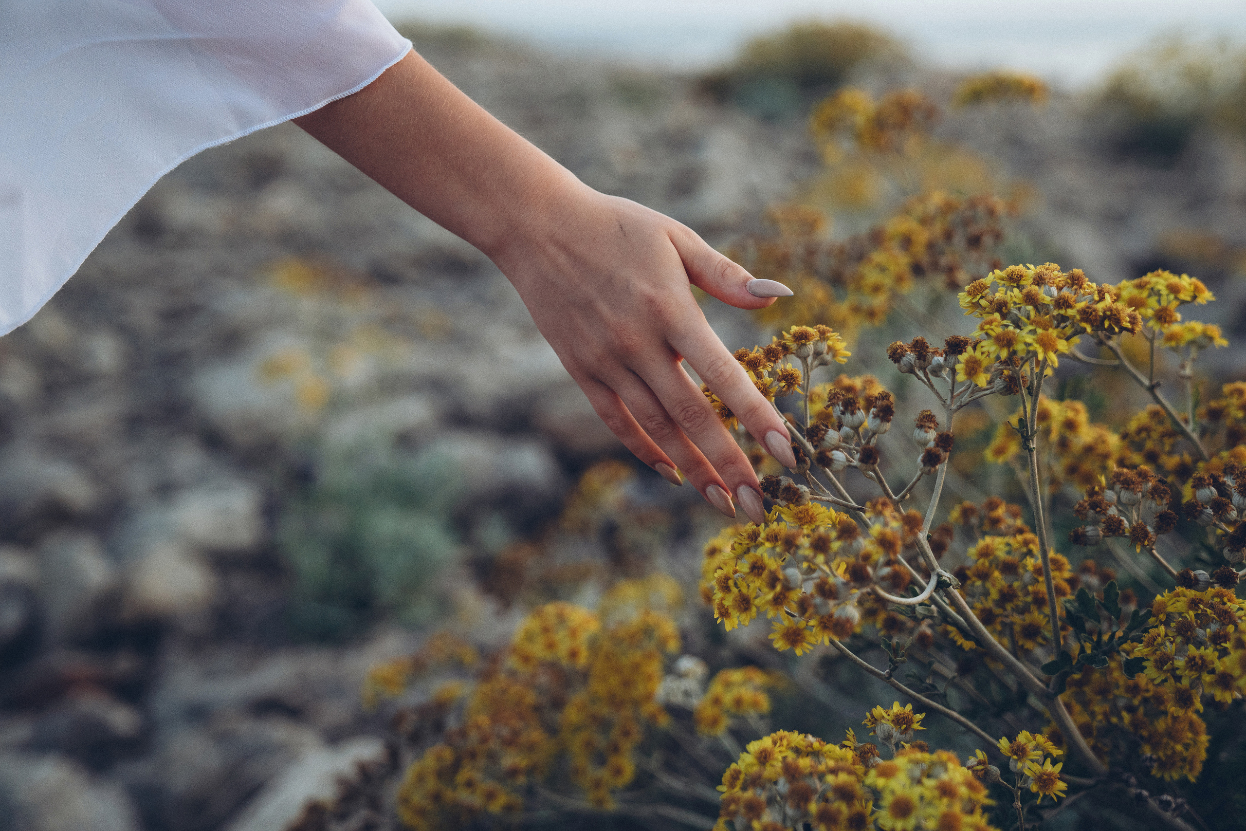 Ева. Фотограф в Севастополе и Крыму Горбунов Денис