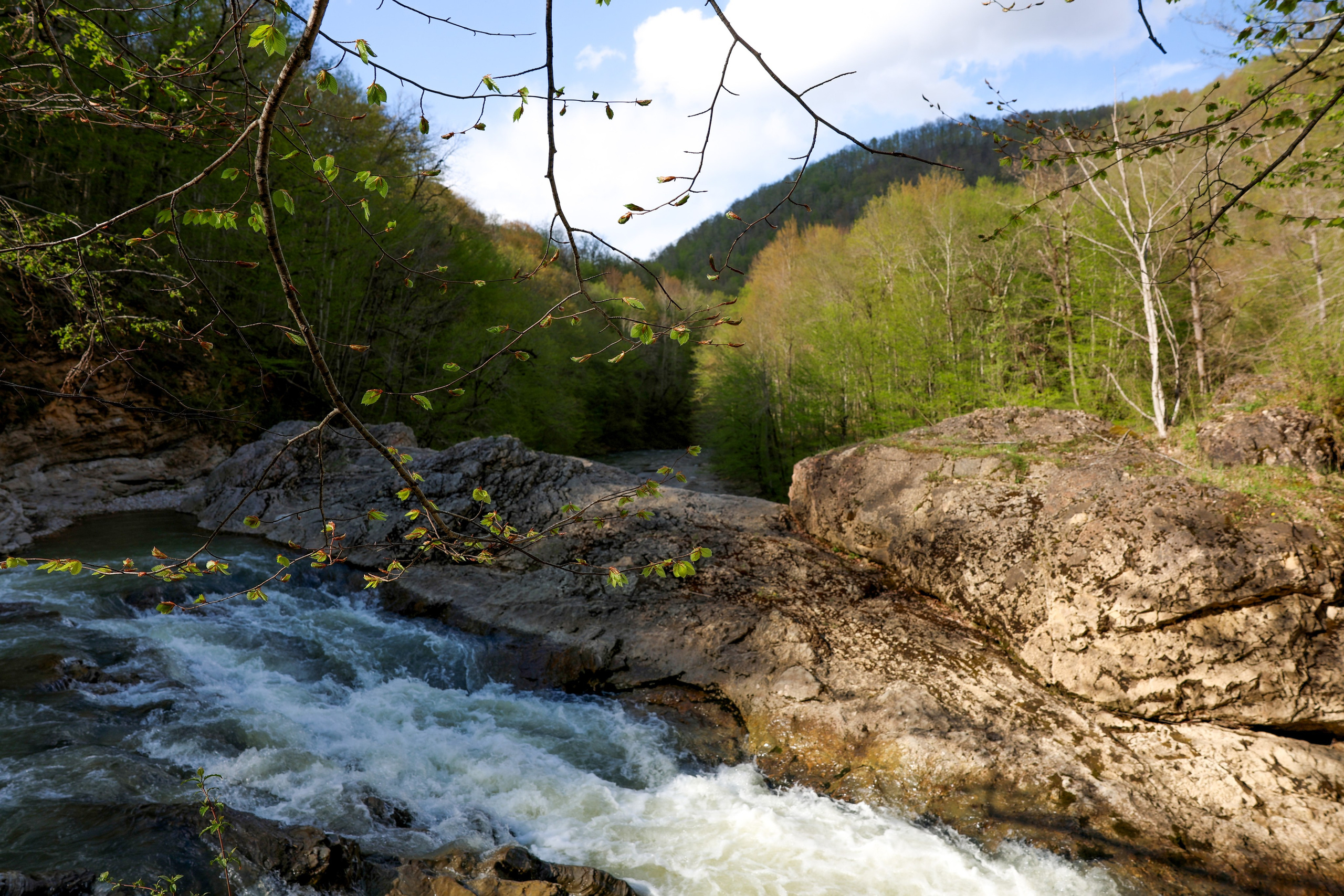 Фотограф Мария Алексеева. Мария Алексеева. Фотограф в Москве