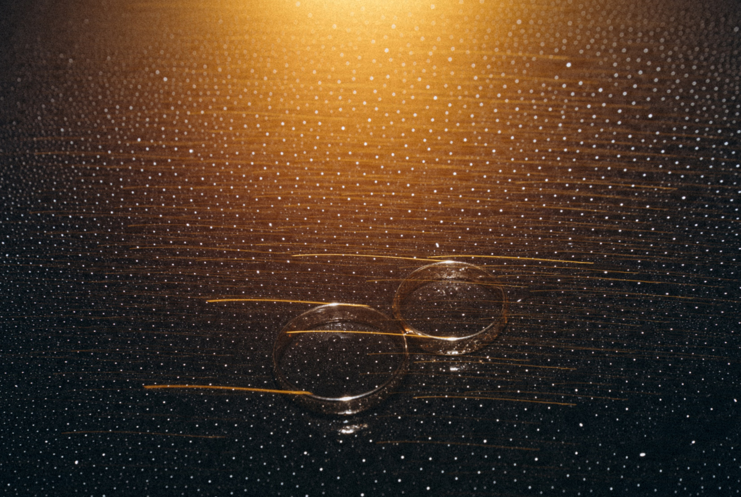 Роман и Анастасия. Главная