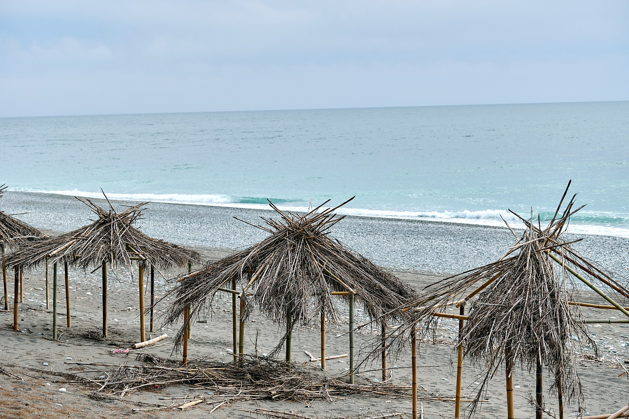 Пицунда, Абхазия. Декабрь 2024. Фотографии отовсюду и обо всем