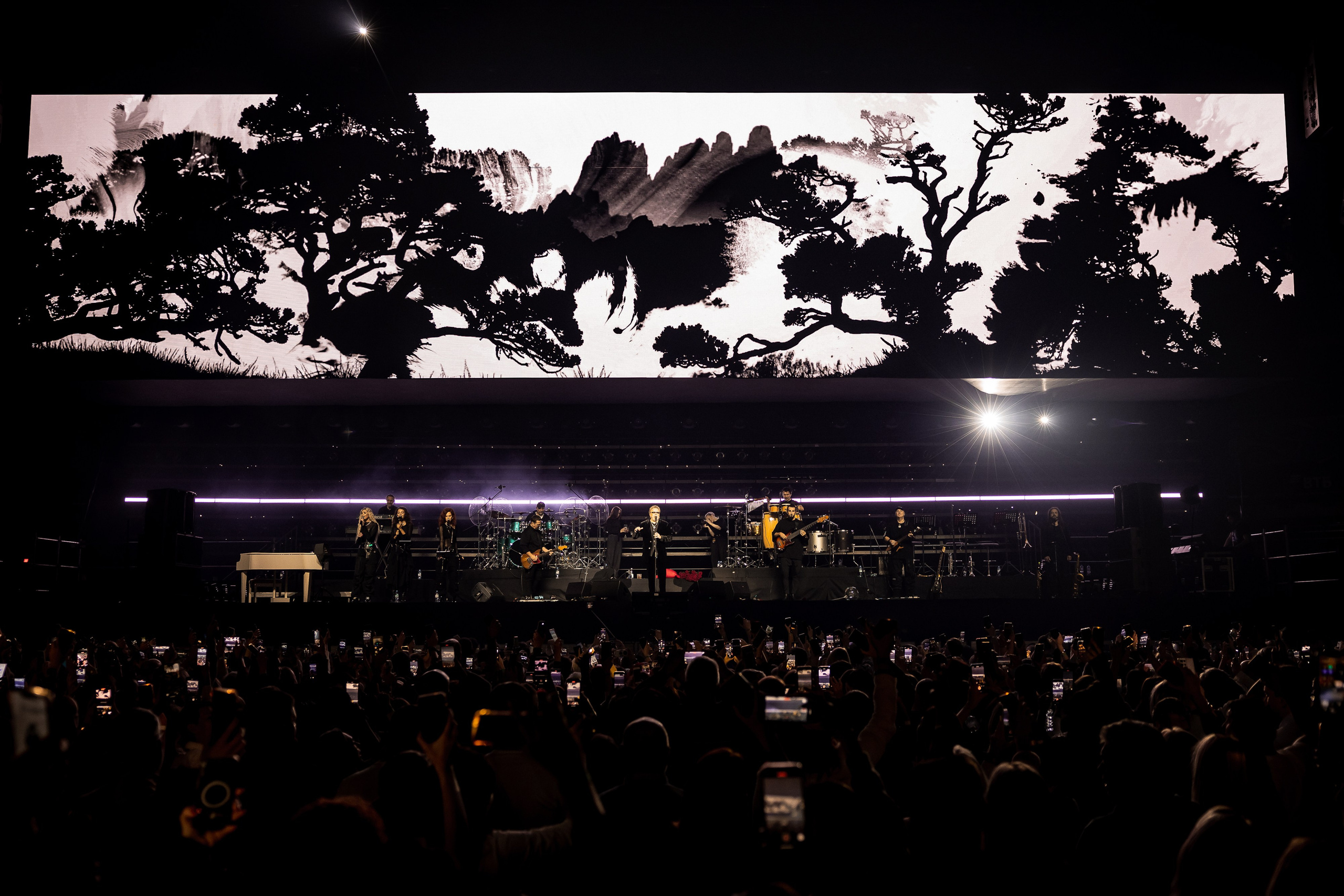 ВЛАДИМИР ПРЕСНЯКОВ / 2024. OOPS