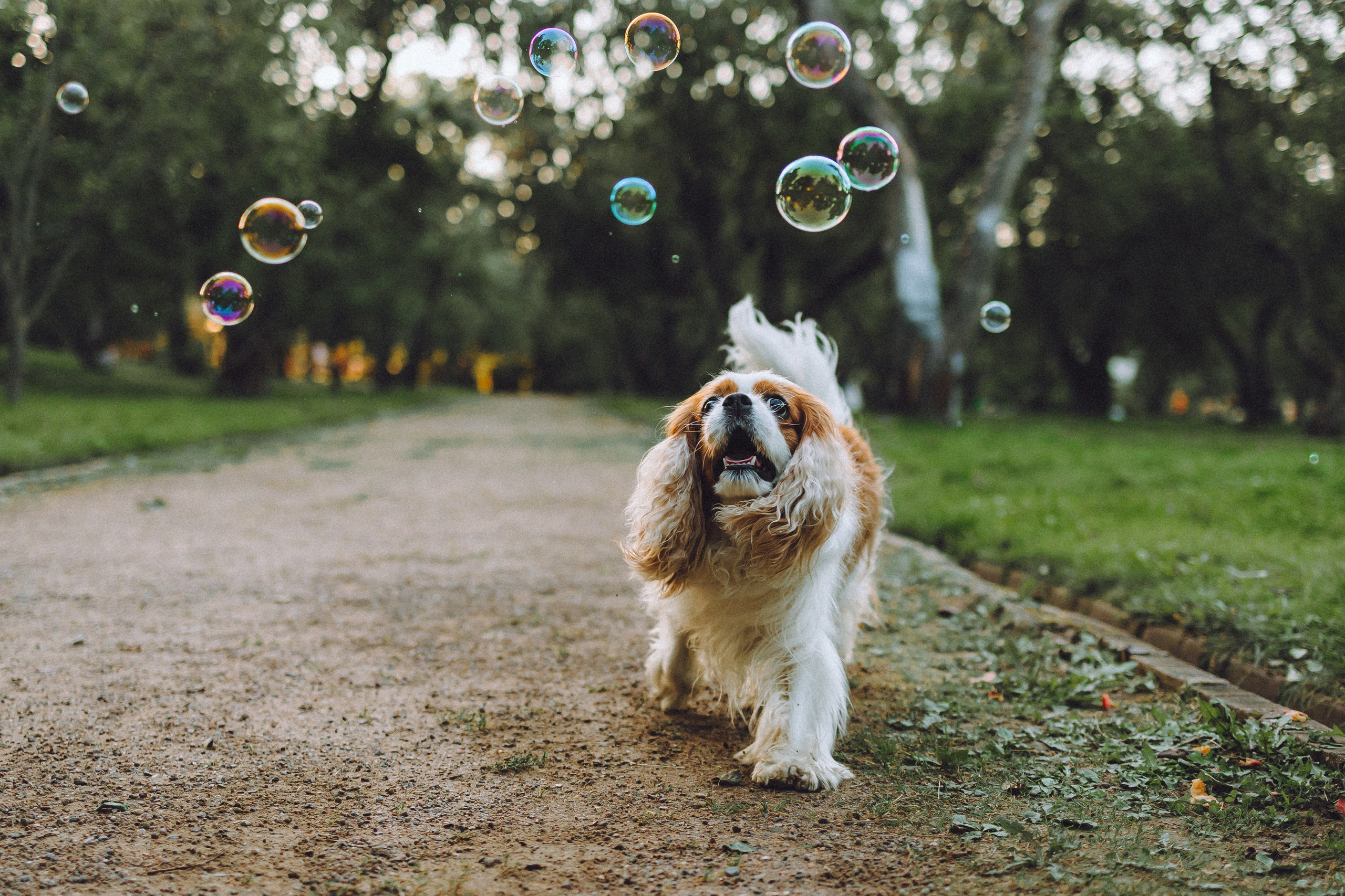 Наташа и Вики