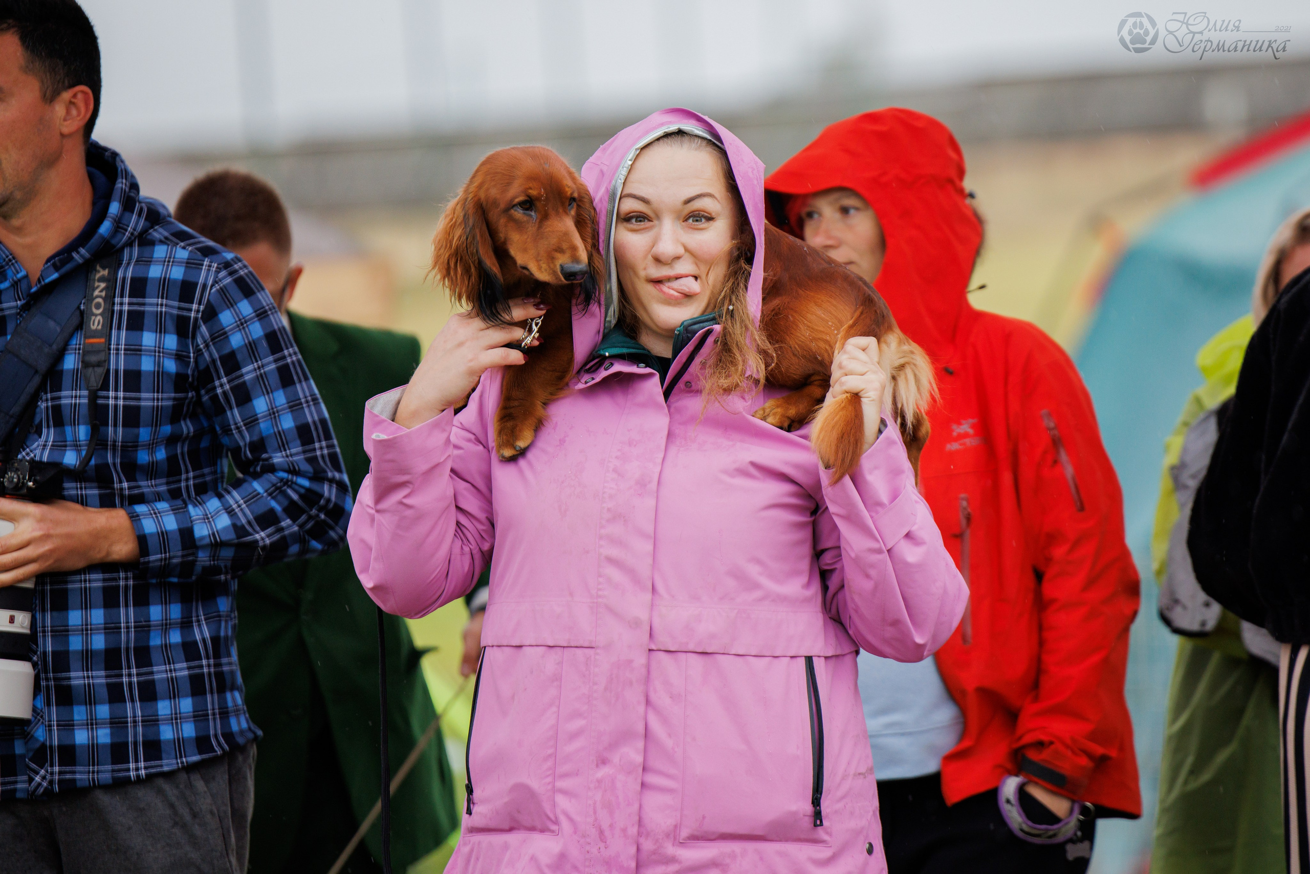Армения,Ереван 3хCACIB 15-17.10.2024. Фотограф-анималист Юлия Германика