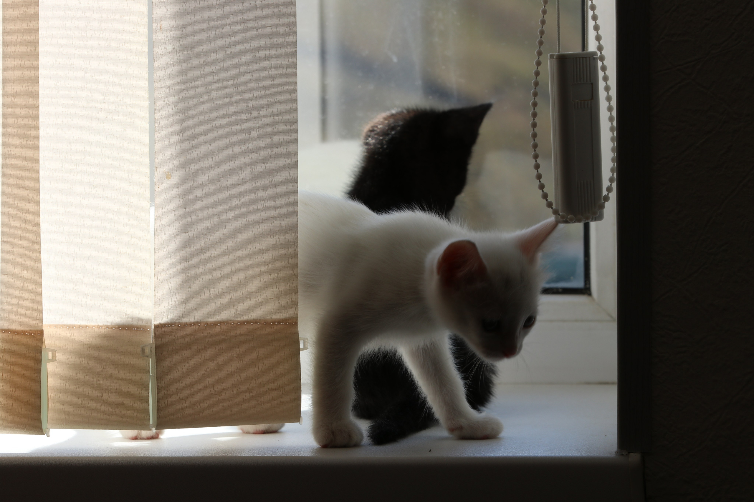 Приэльбрусье. Сентябрь 2023. Путешественник-фотограф из Санкт-Петербурга Татьяна Свистулина