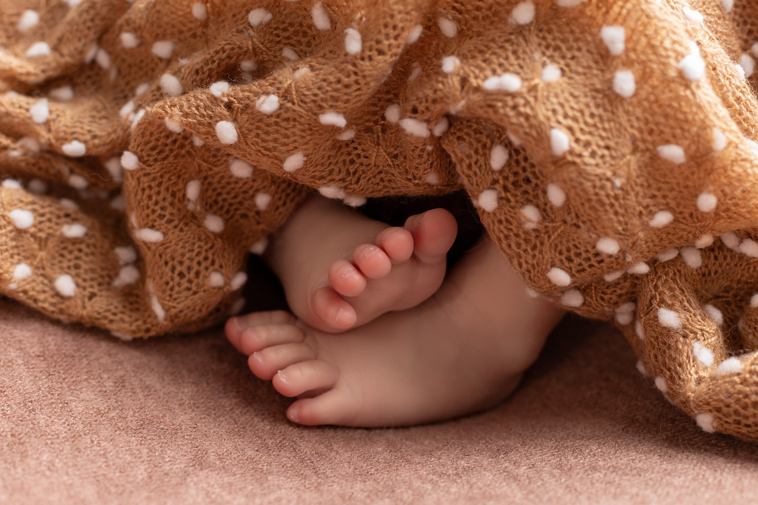 Лев. Ольга SHREIBICUS — Фотография беременности и новорожденных Оренбург