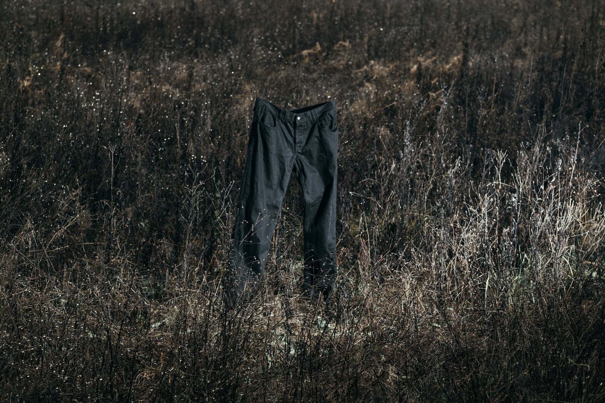 Understory. Tatiana Sikorskaya