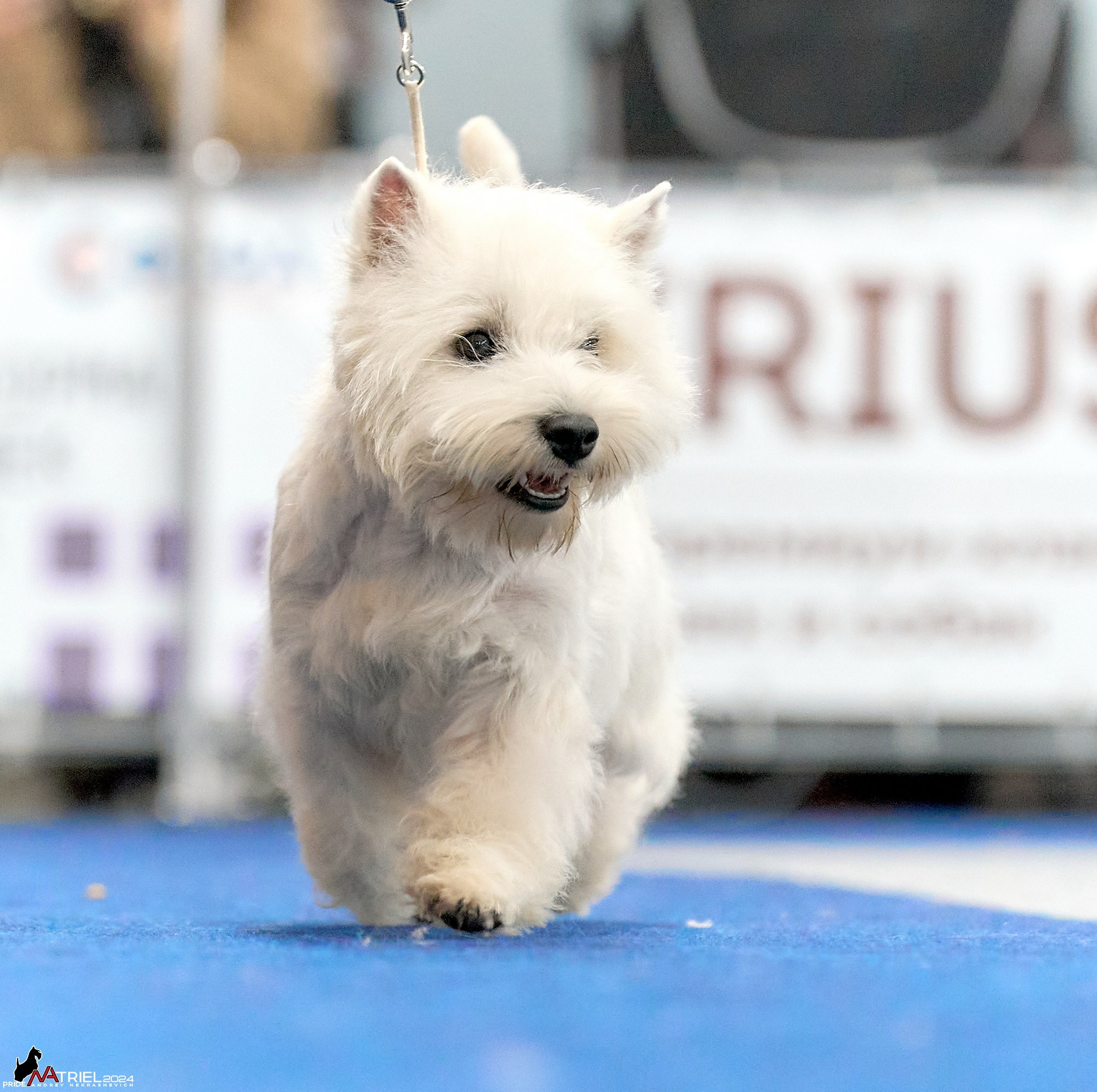 Съемка на выставке в Сфере