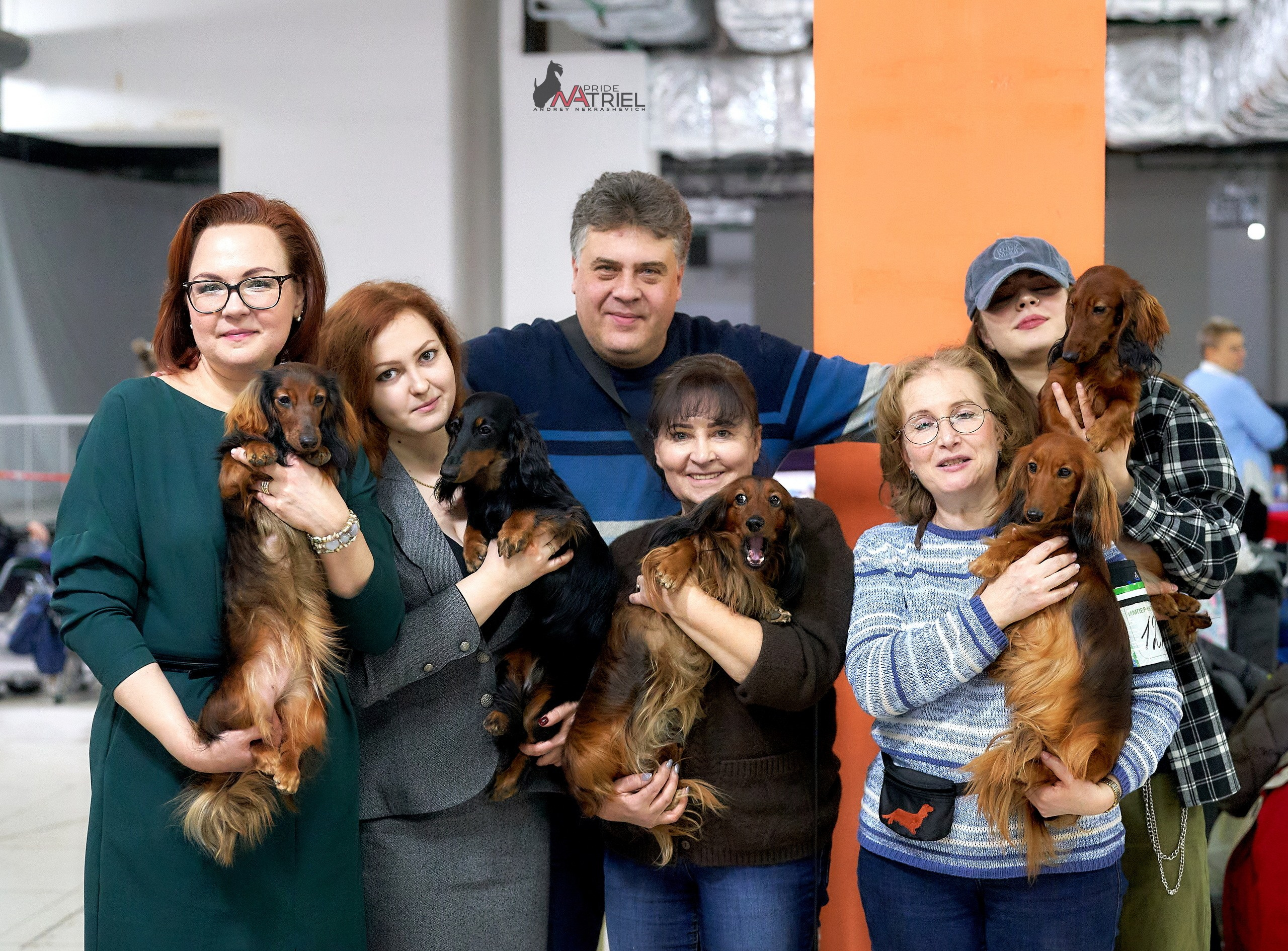 Картинки с выставки — галерея NATRIEL