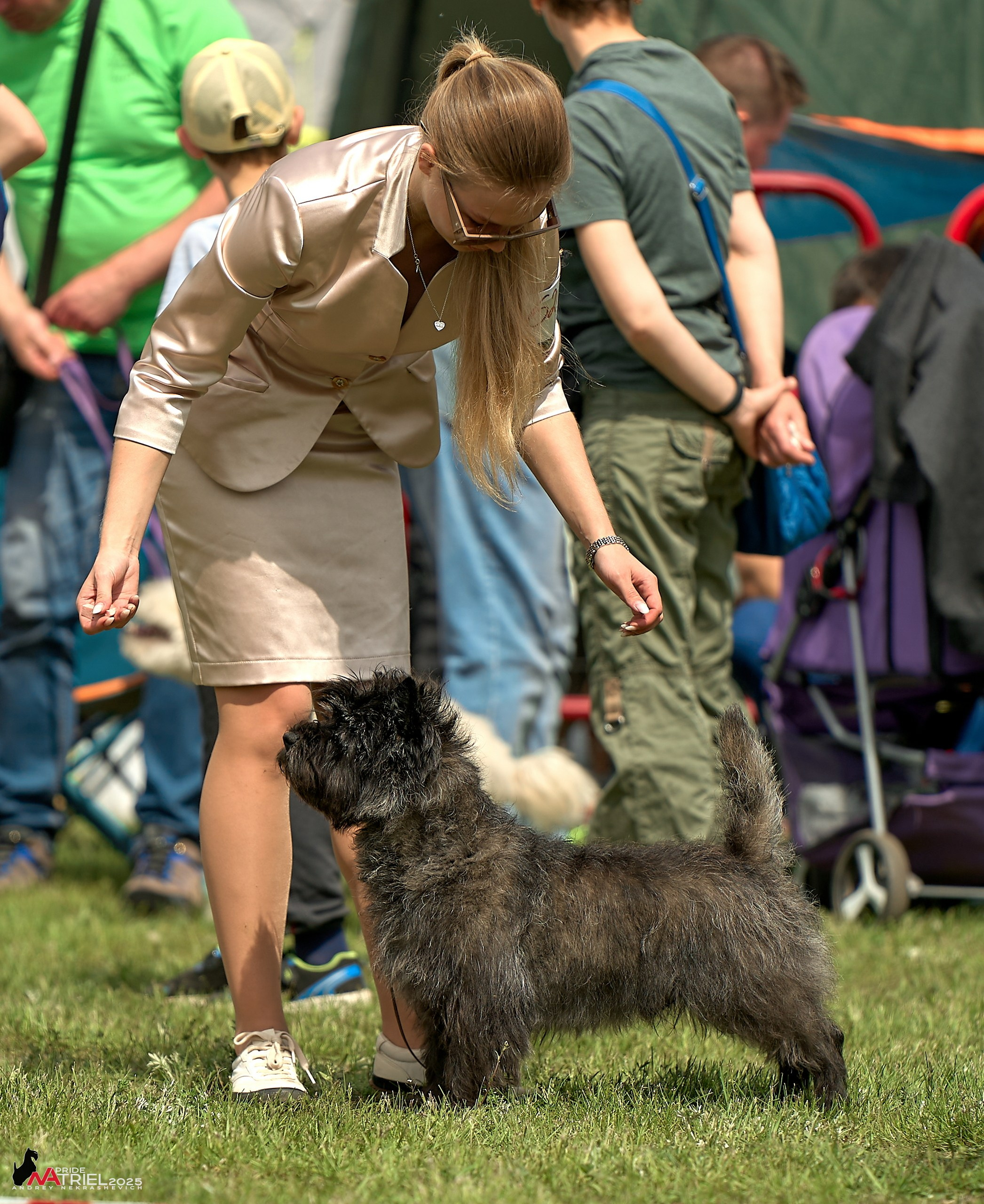 Выставка собак Суздаль-Владимир
