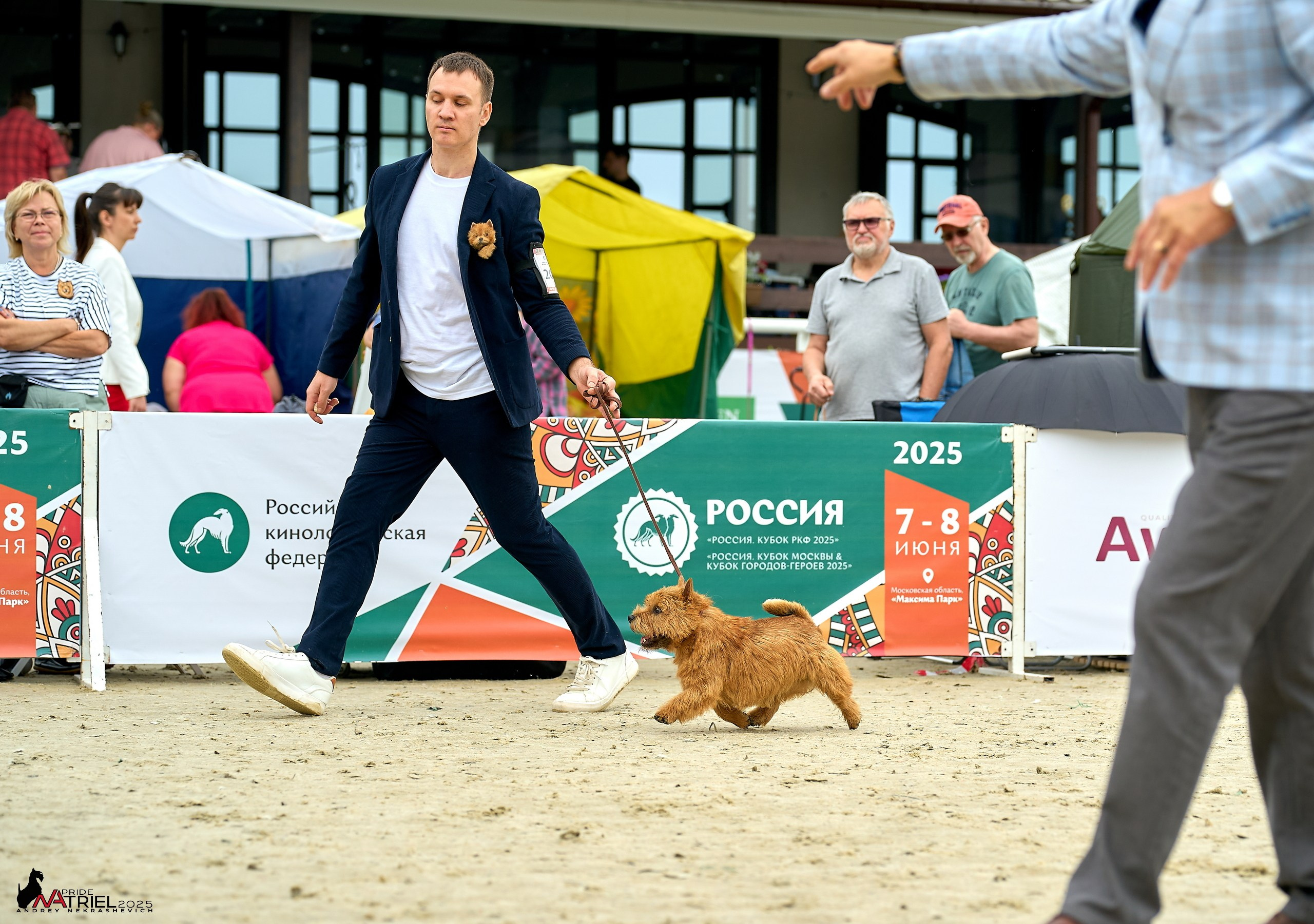 Выставка собак РОССИЯ — 2025