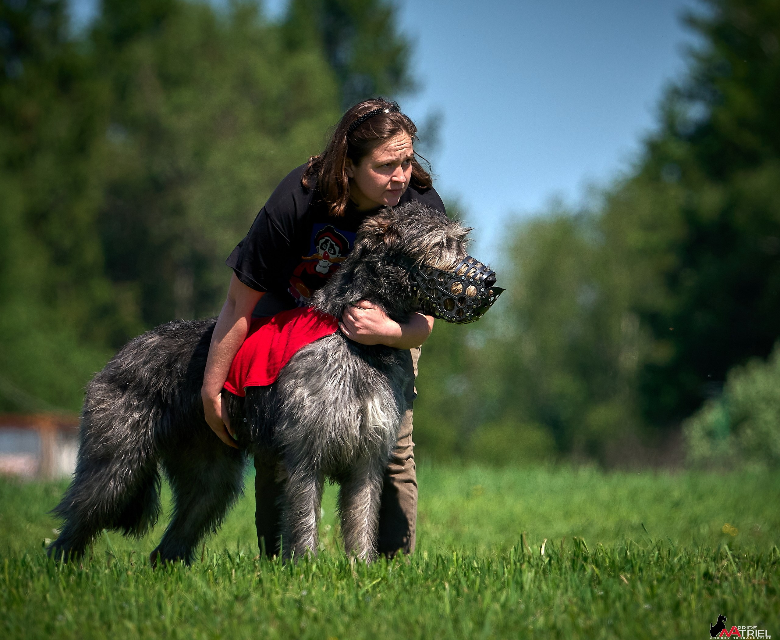 Съемка курсинг — галерея NATRIEL