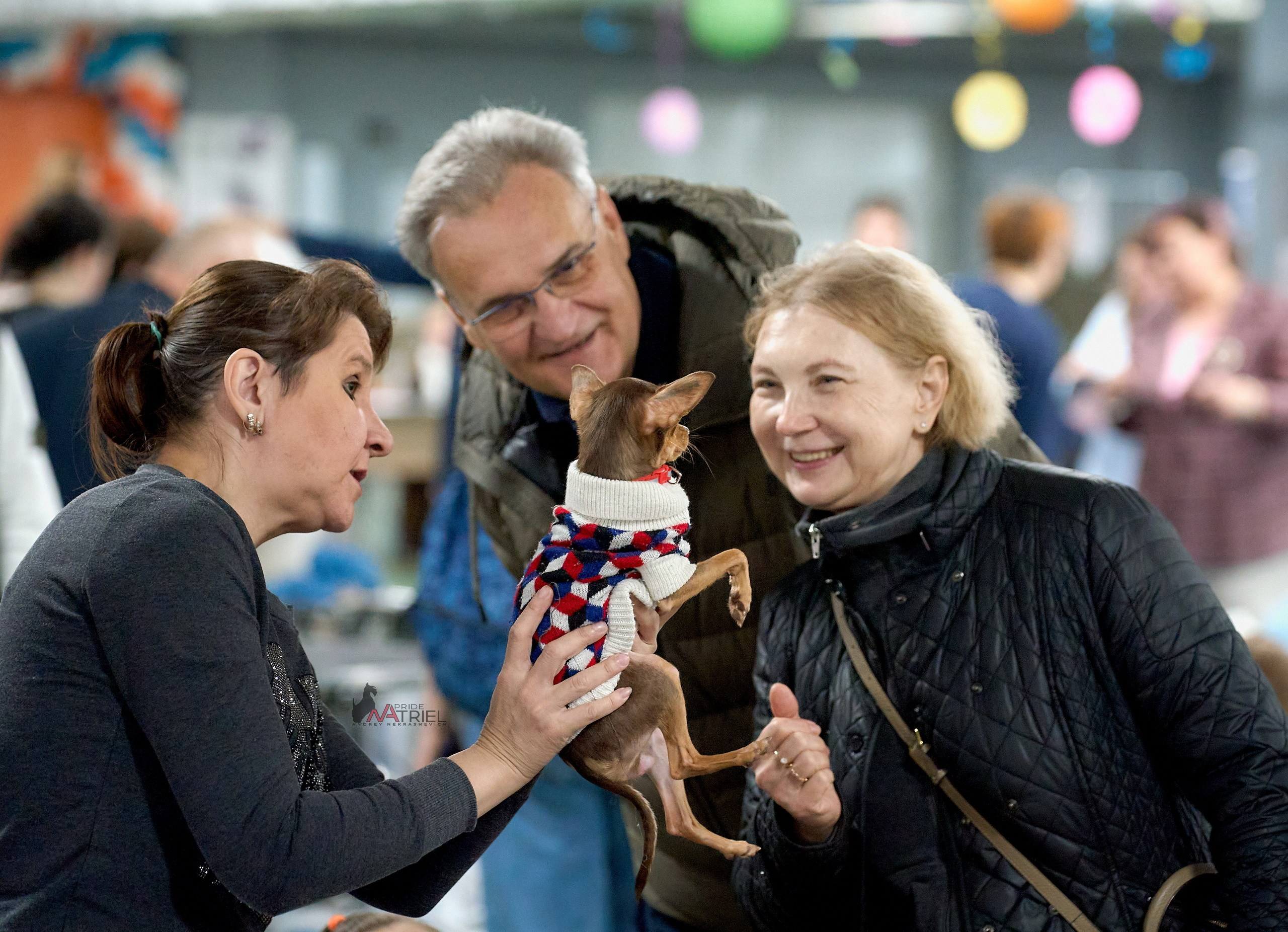 Картинки с выставки — галерея NATRIEL