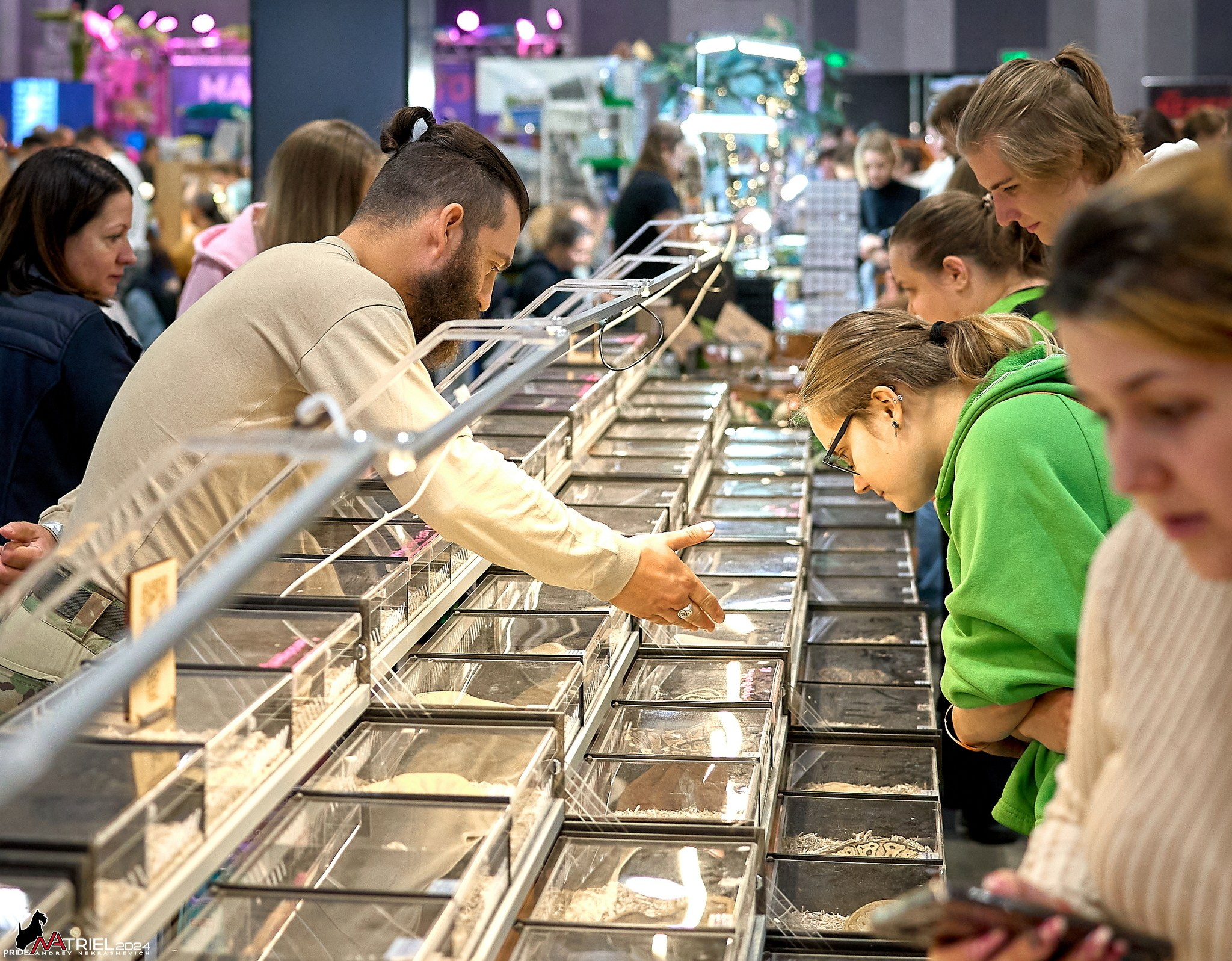 Выставки животных — галерея NATRIEL