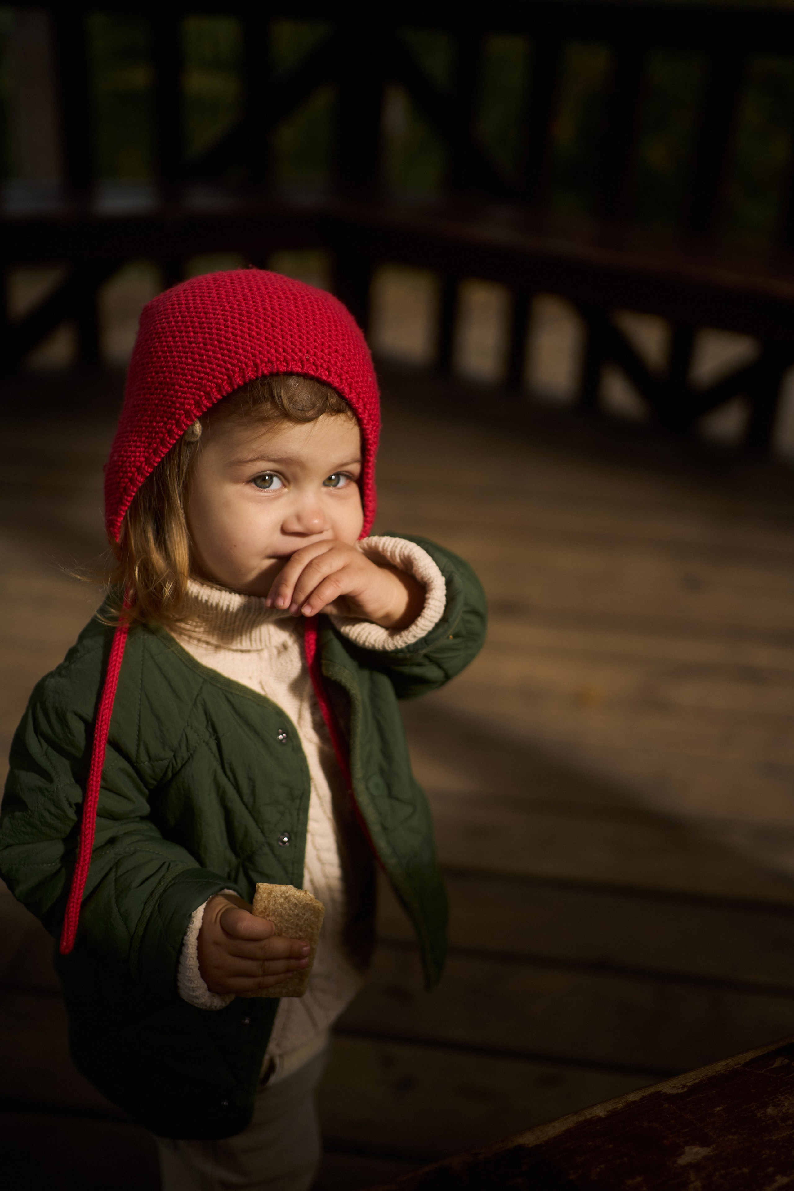 Печенье в песке. Фотограф анималист Москва Дарья