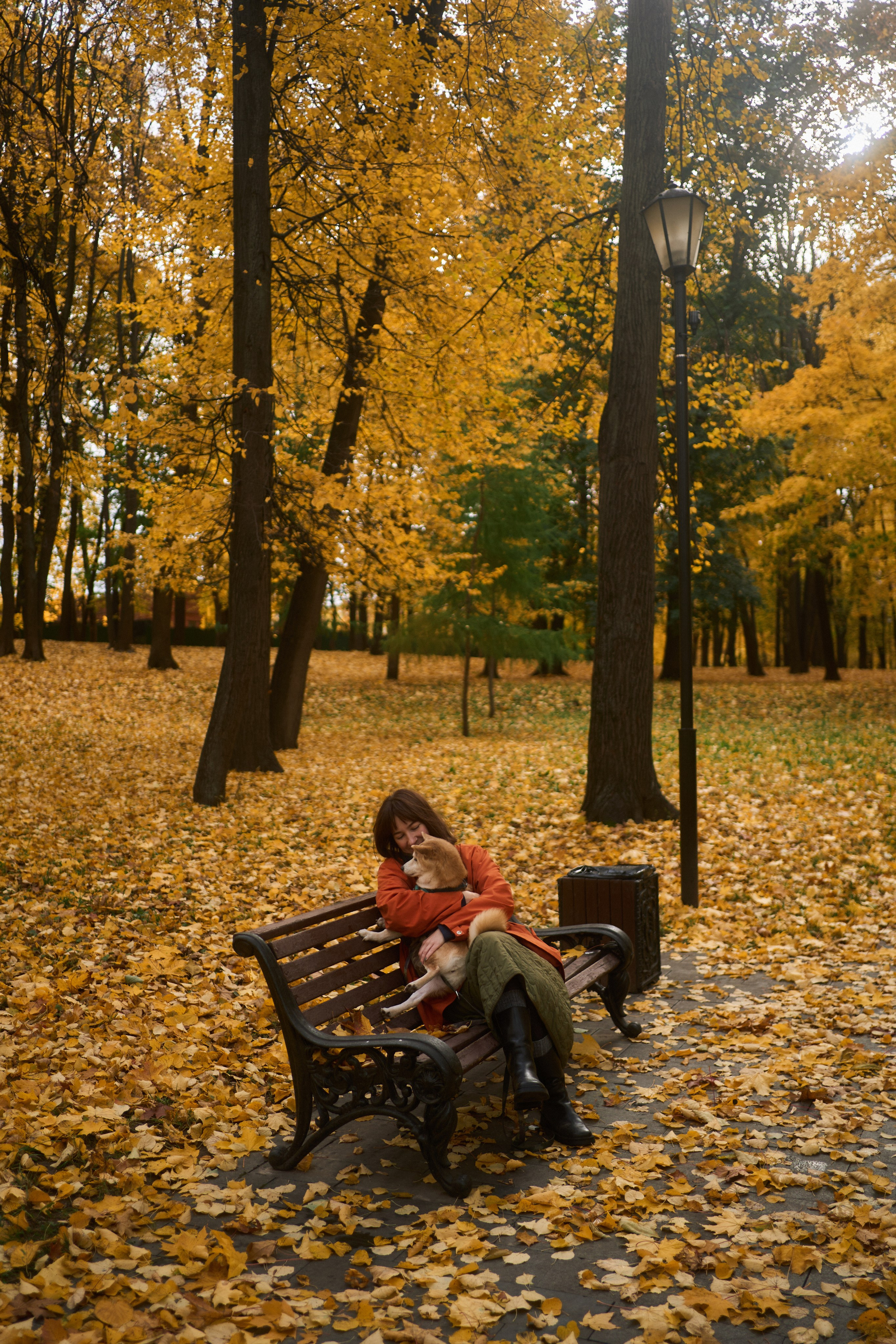 Осенние Уши. Фотограф анималист Москва Дарья