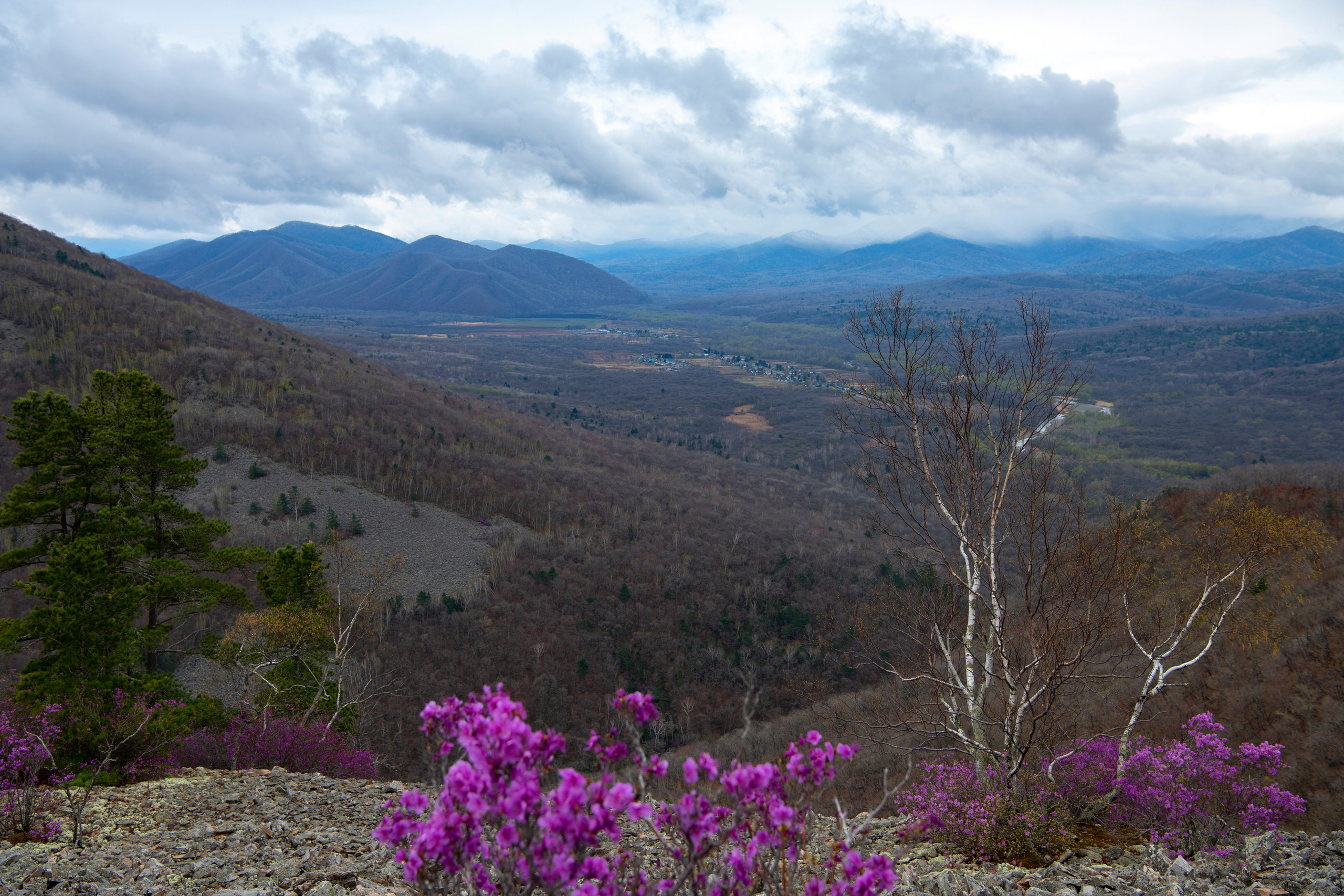 Природа Хабаровского края. Команда фотографов Кристины Ивановой