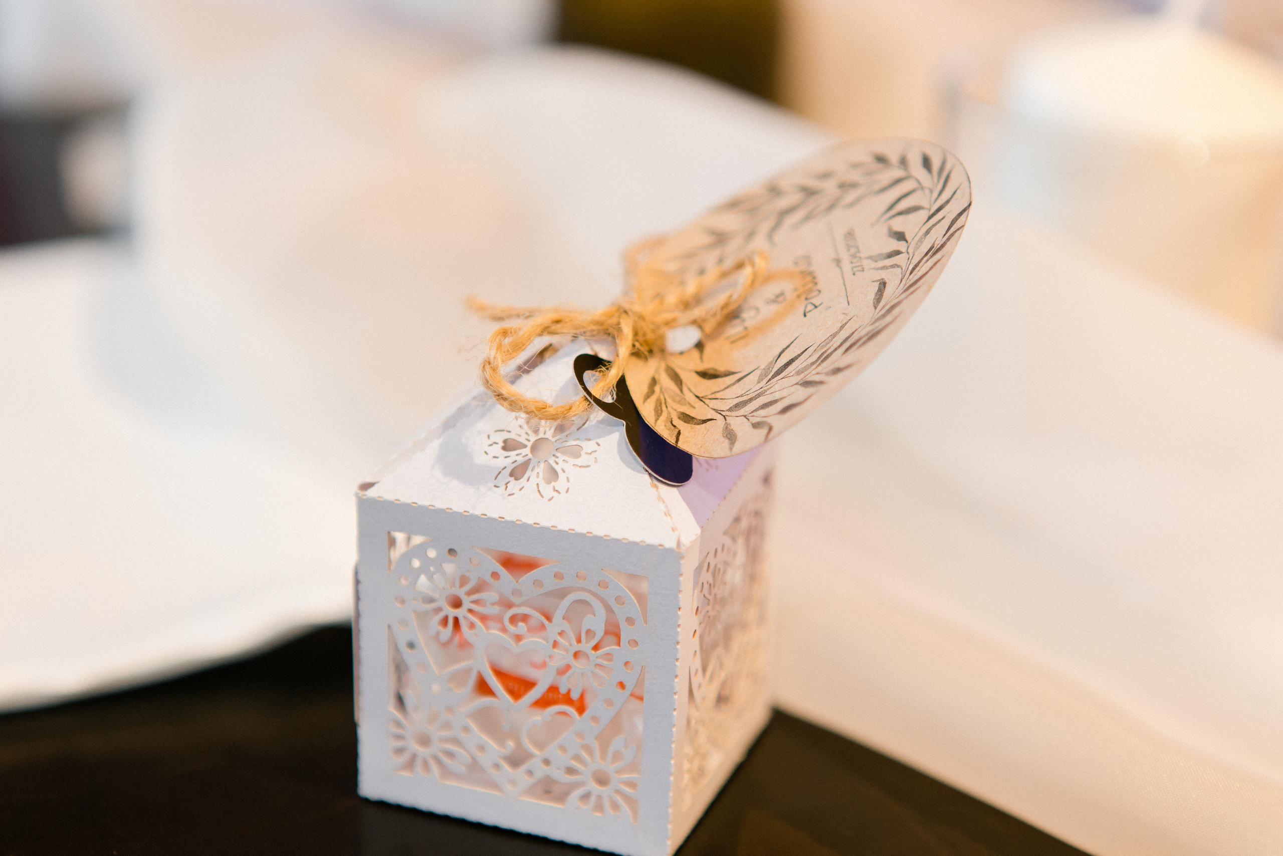 Полина и Илья. Видеосъемка свадеб. Видеооператор на свадьбу в Москве