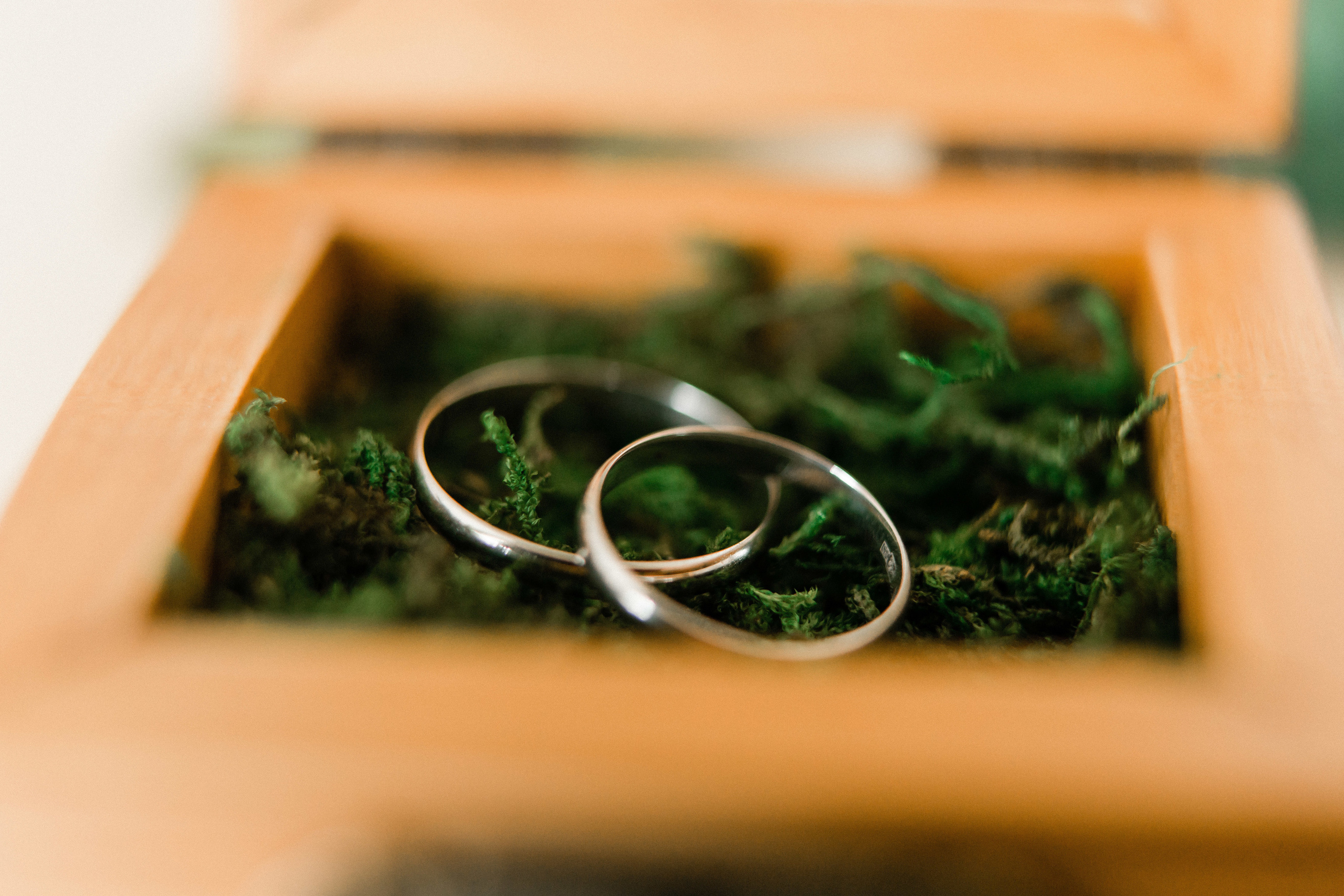 Анастасия и Федор. Усадьба «Домик у озера». Видеосъемка свадеб. Видеооператор на свадьбу в Москве