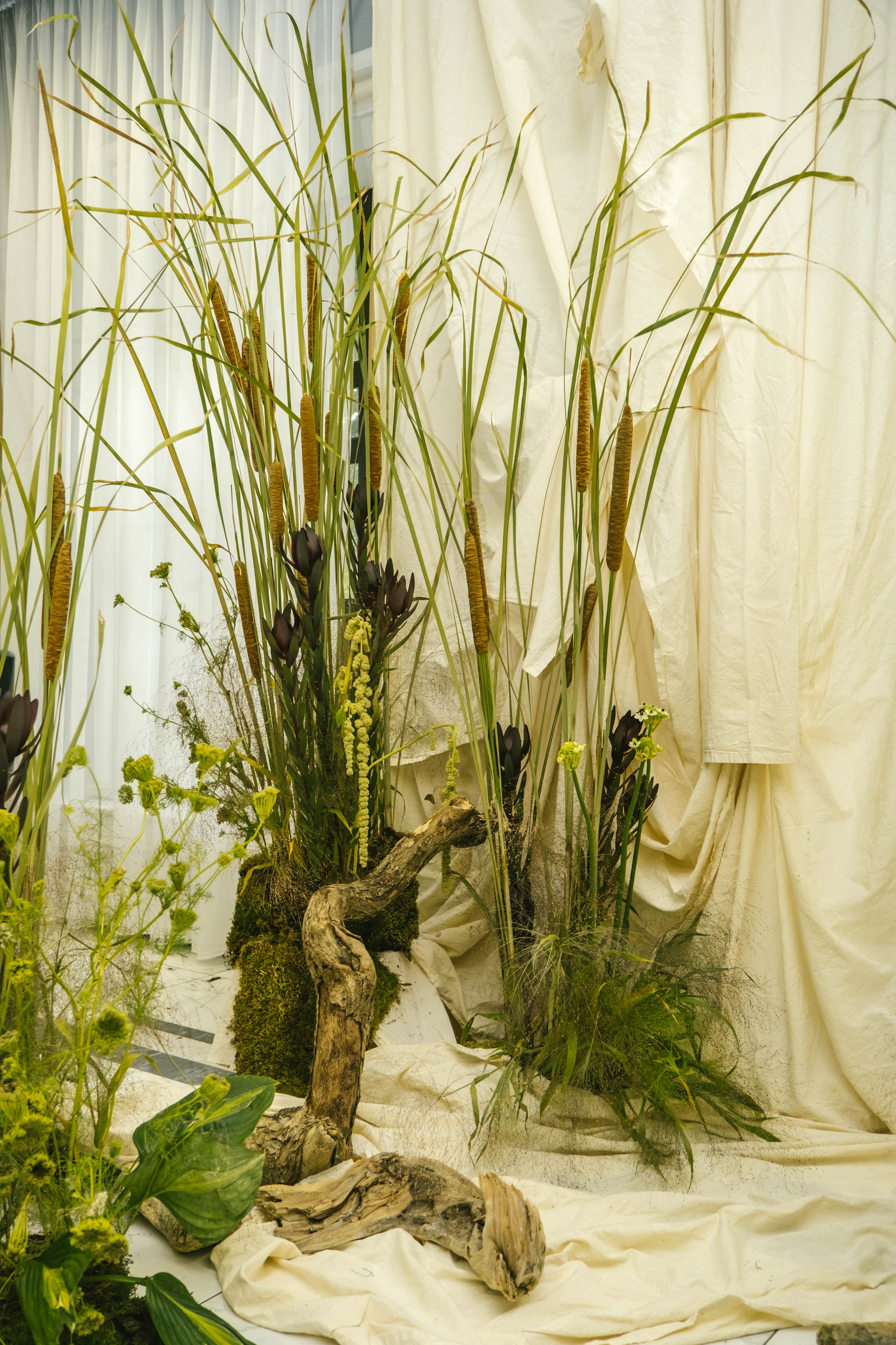 Презентация бренда Davines 2024. Ксения Почтарь. Декоратор и флорист, город Владивосток