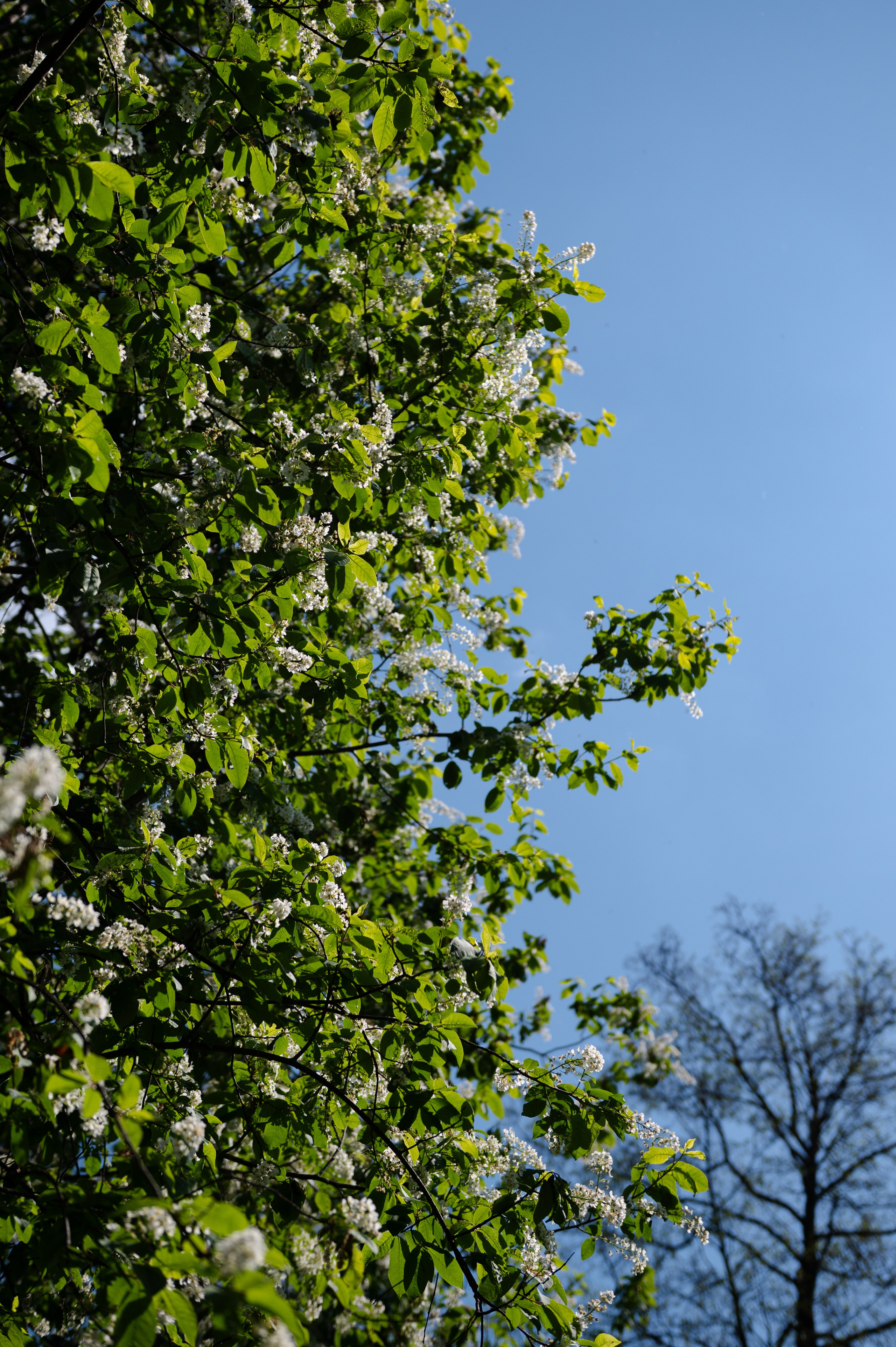 RIVER RAFTING. Свадебный и портретный фотограф в Казани