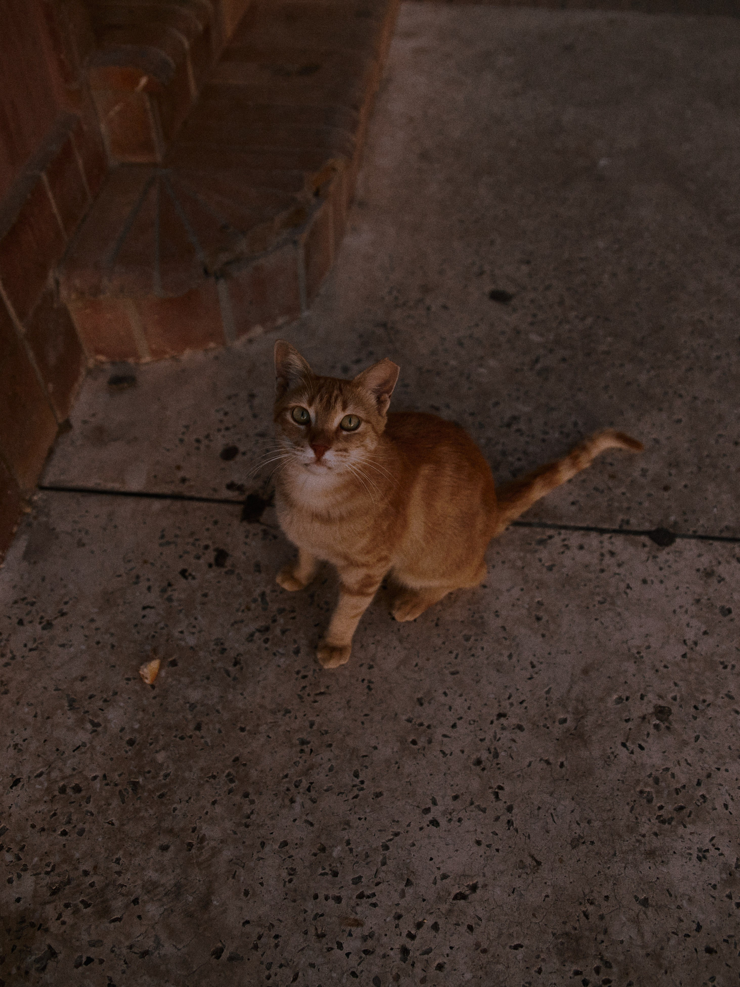 Другое 2. Jorgis Talè — photographer, kind person, teacher of arts and other mag