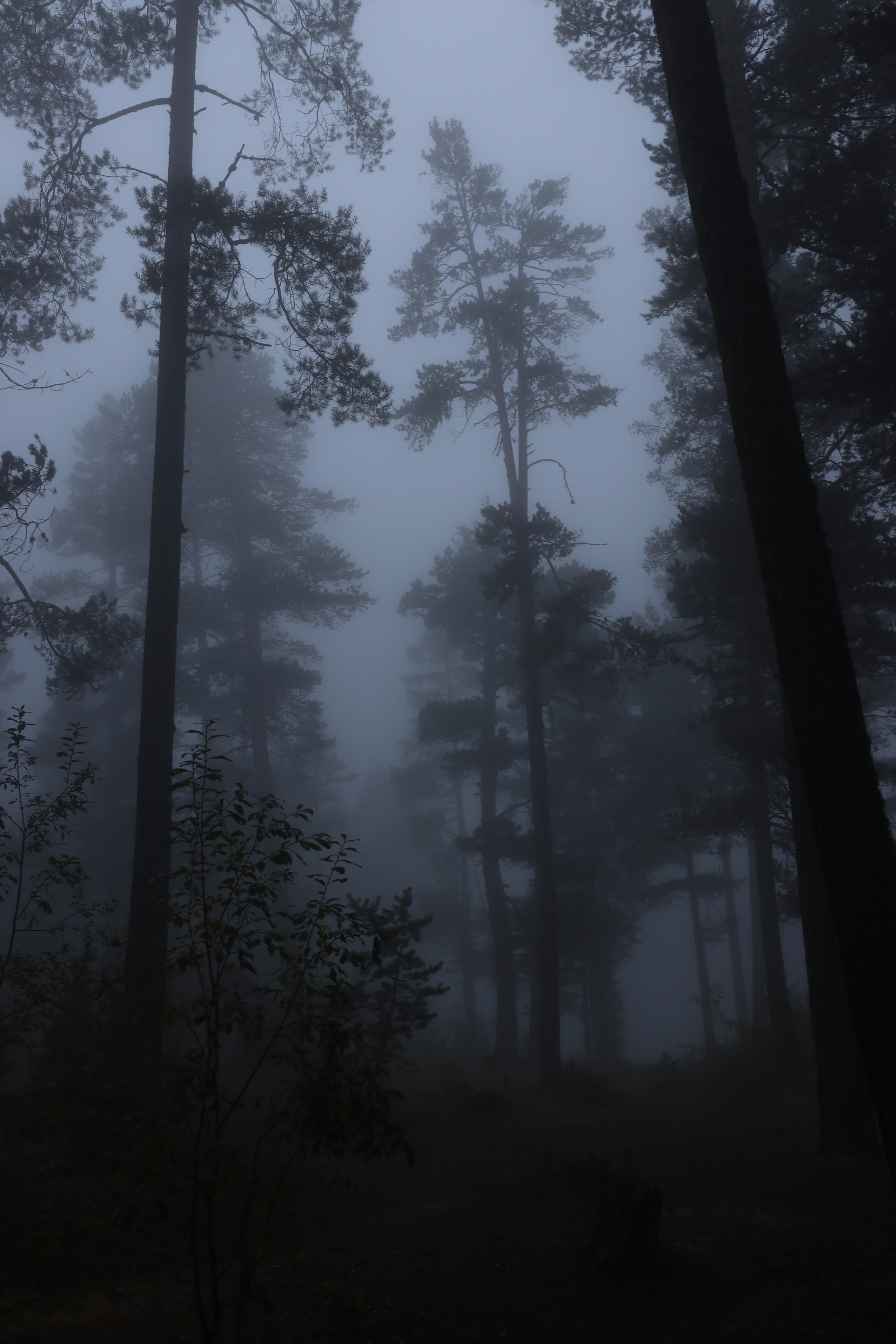 Приэльбрусье. Сентябрь 2024. Путешественник-фотограф из Санкт-Петербурга Татьяна Свистулина