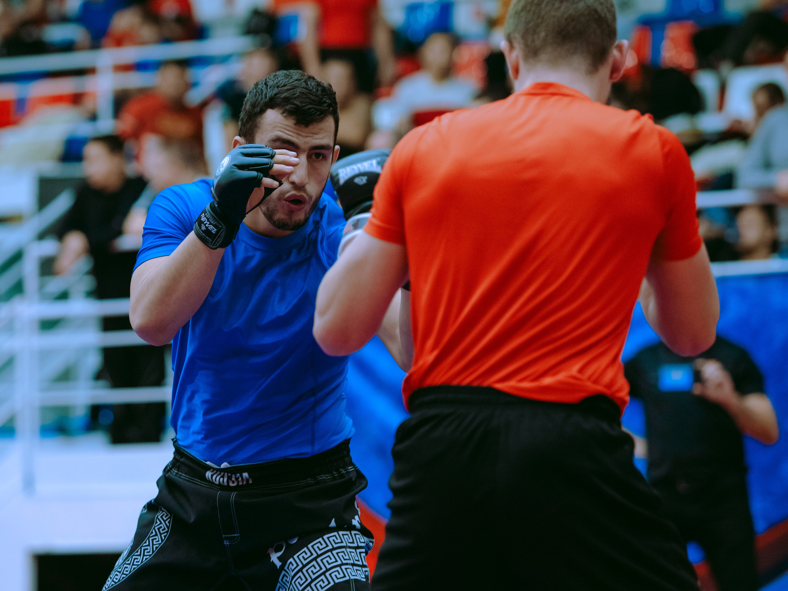 Кубок России по спортивной борьбе панкратион `23. Портретный фотограф в Москве Дарья Цезария