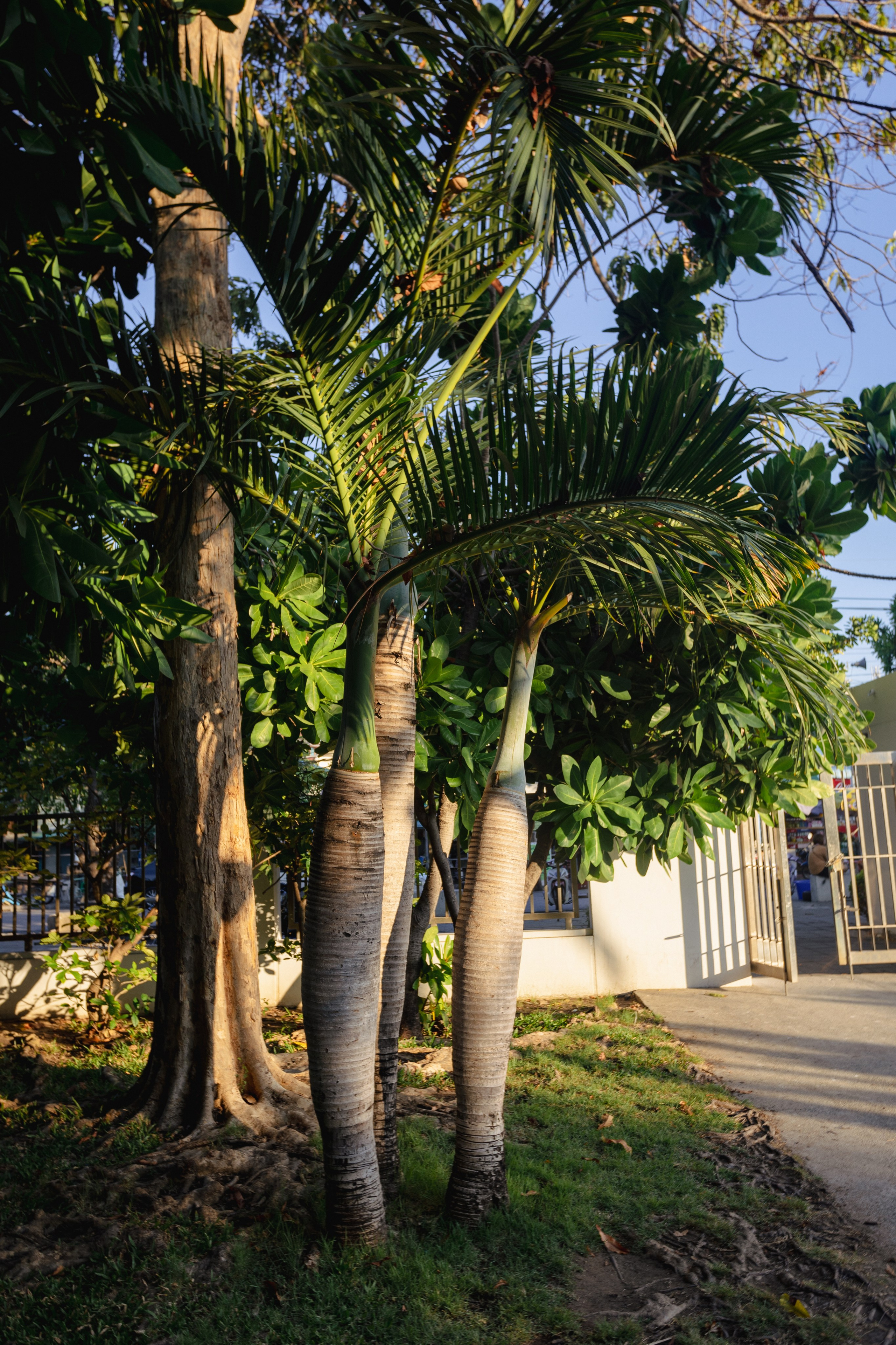 Samut Prakan. Фотограф Сонкина Татьяна