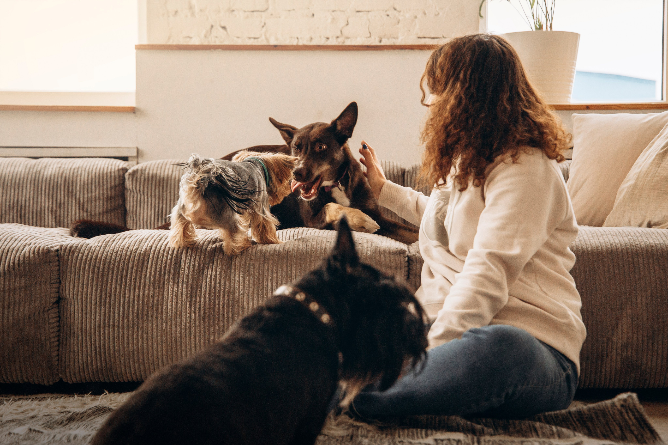 Аня и ее семья. Фотограф — Анималист | Санкт-Петербург