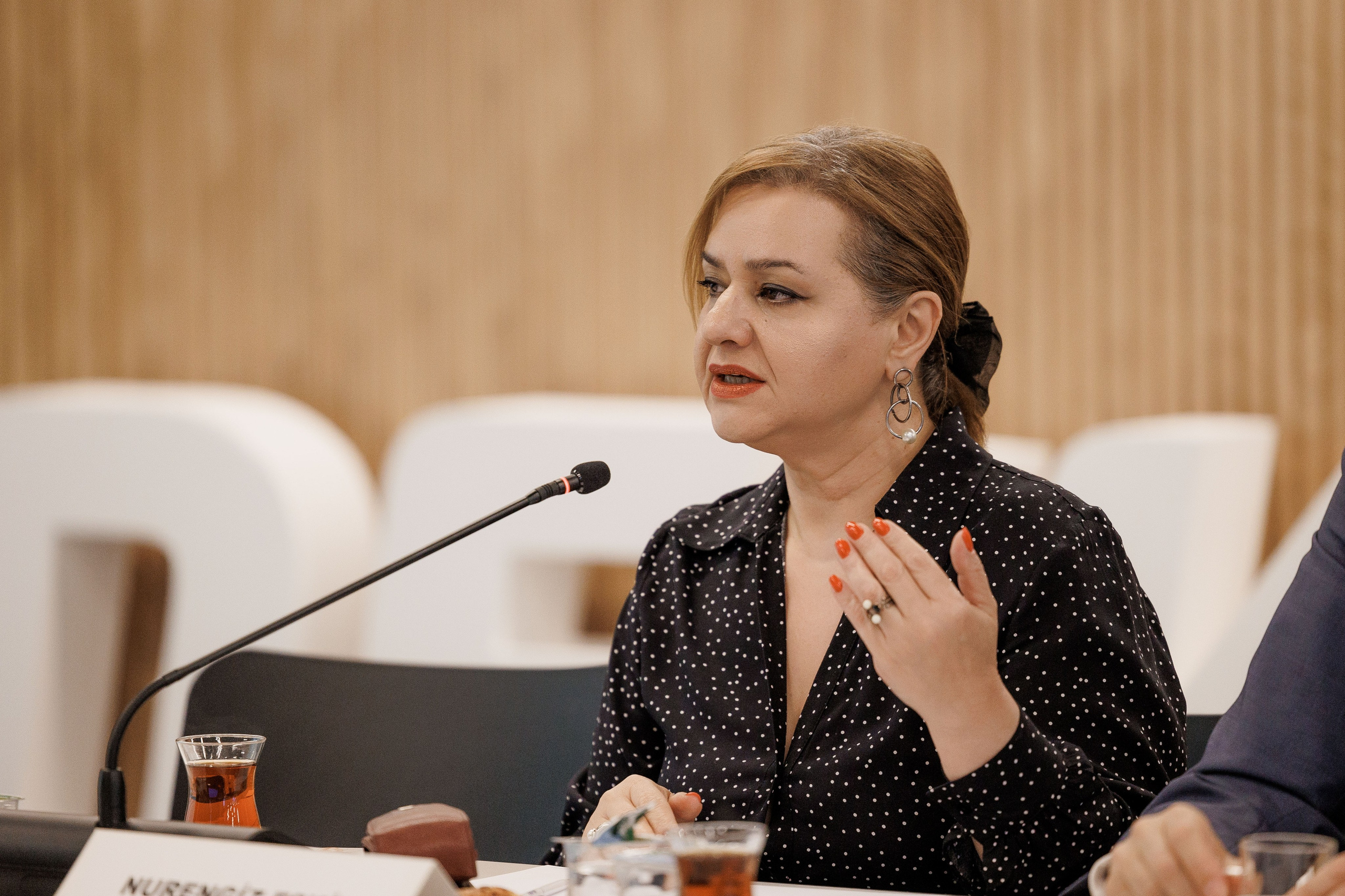 Рязанская делегация. About