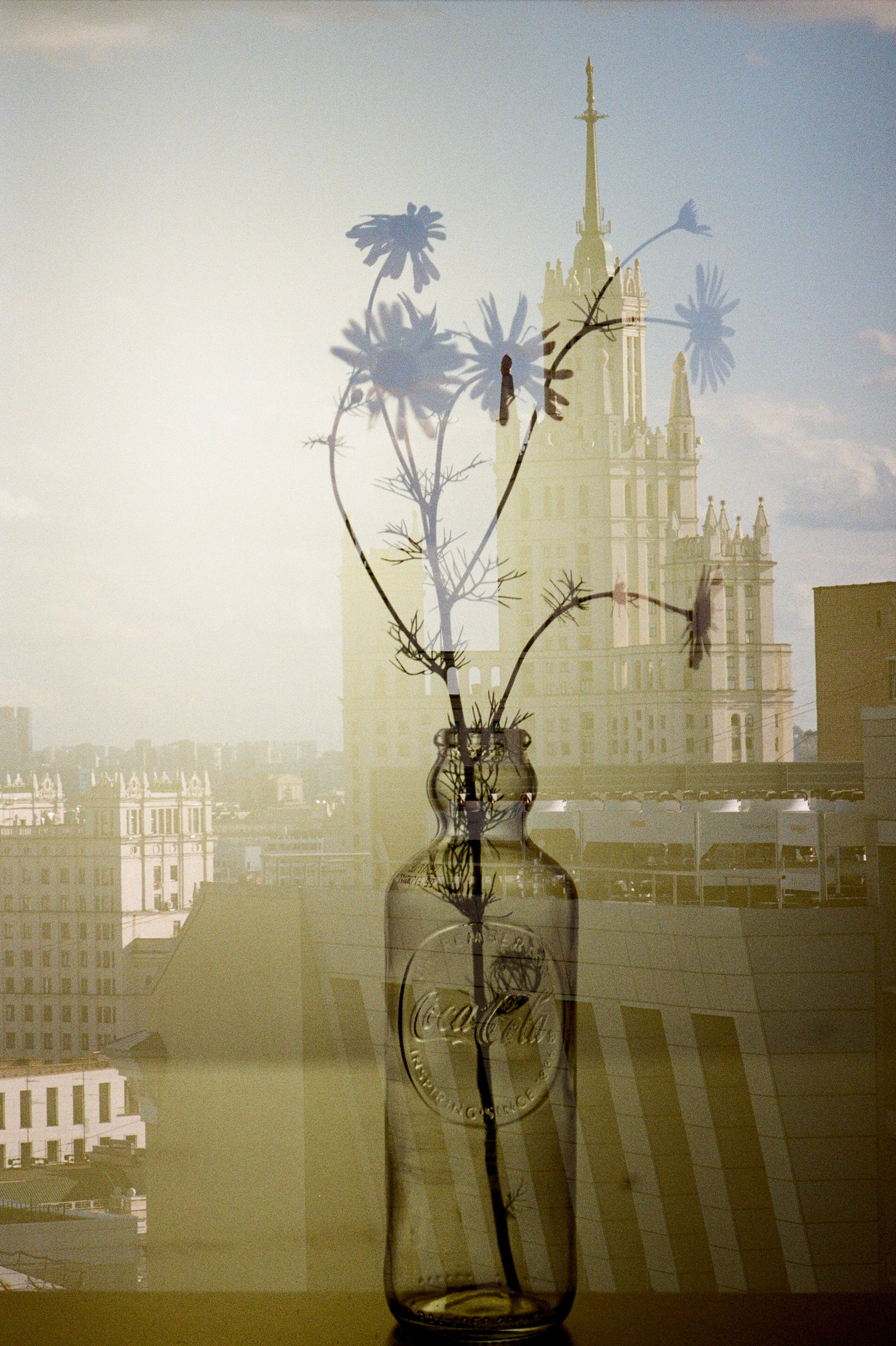 Автор: Анастасия Пиганова