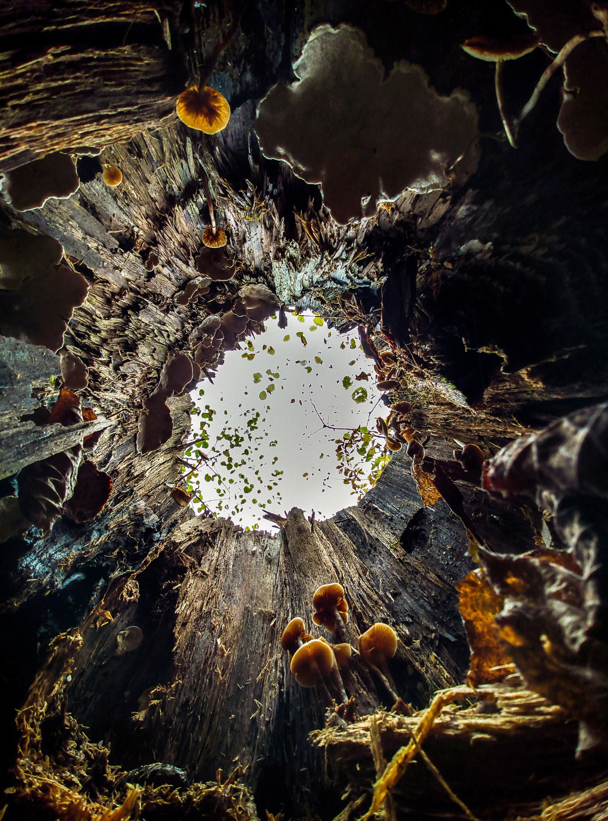 Автор: Гагик Егиазарян