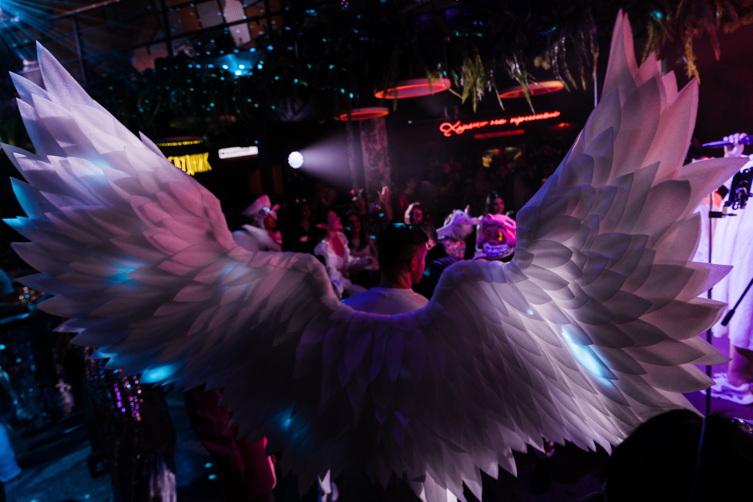 HaRd WeDding FEST. Свадебный и семейный фотограф в Краснодаре Роман Моско