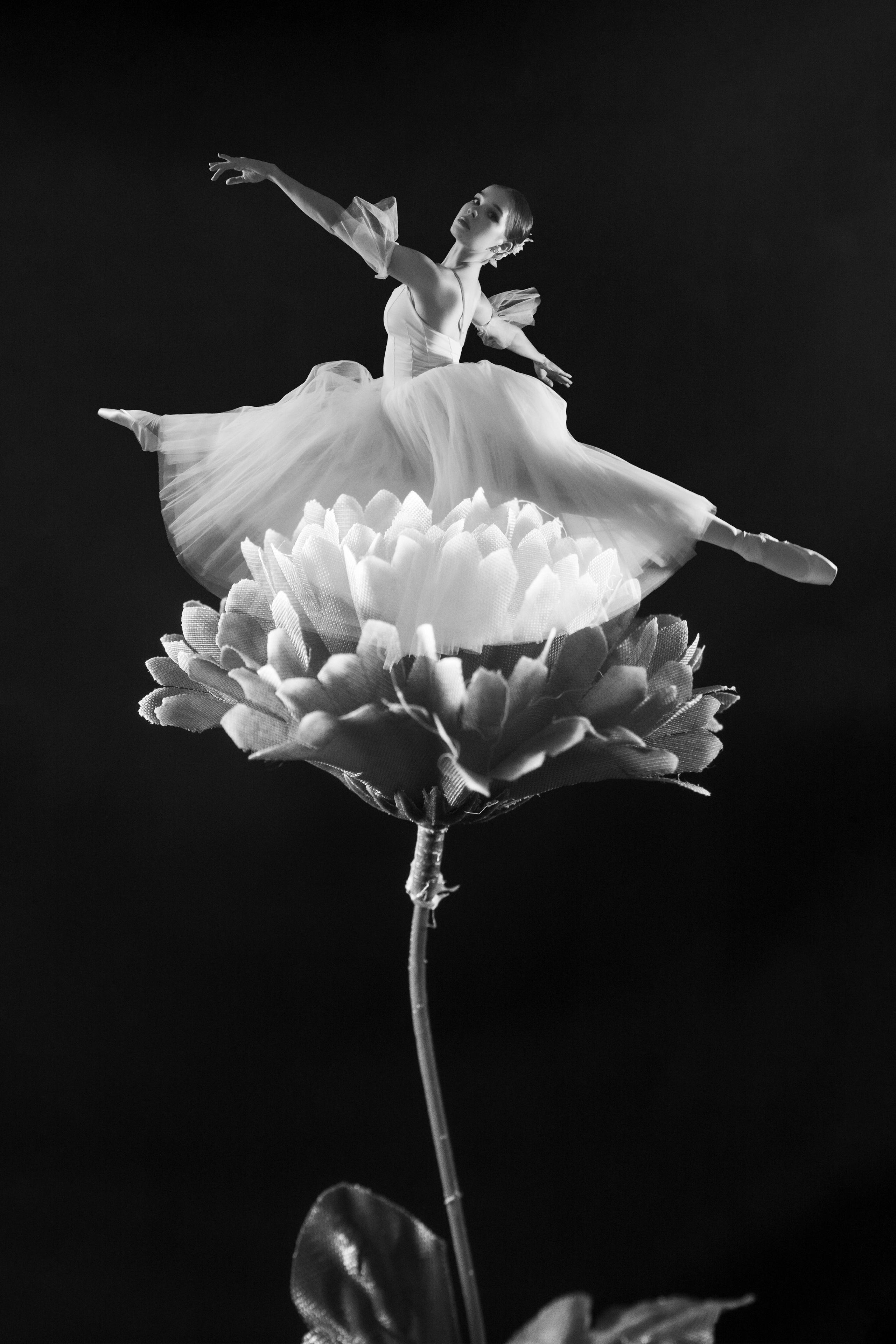 «Весна всегда» РСВ 2025 ГРАН-ПРИ. Портретный и репортажный фотограф в Кемерово Алексеева Анастасия