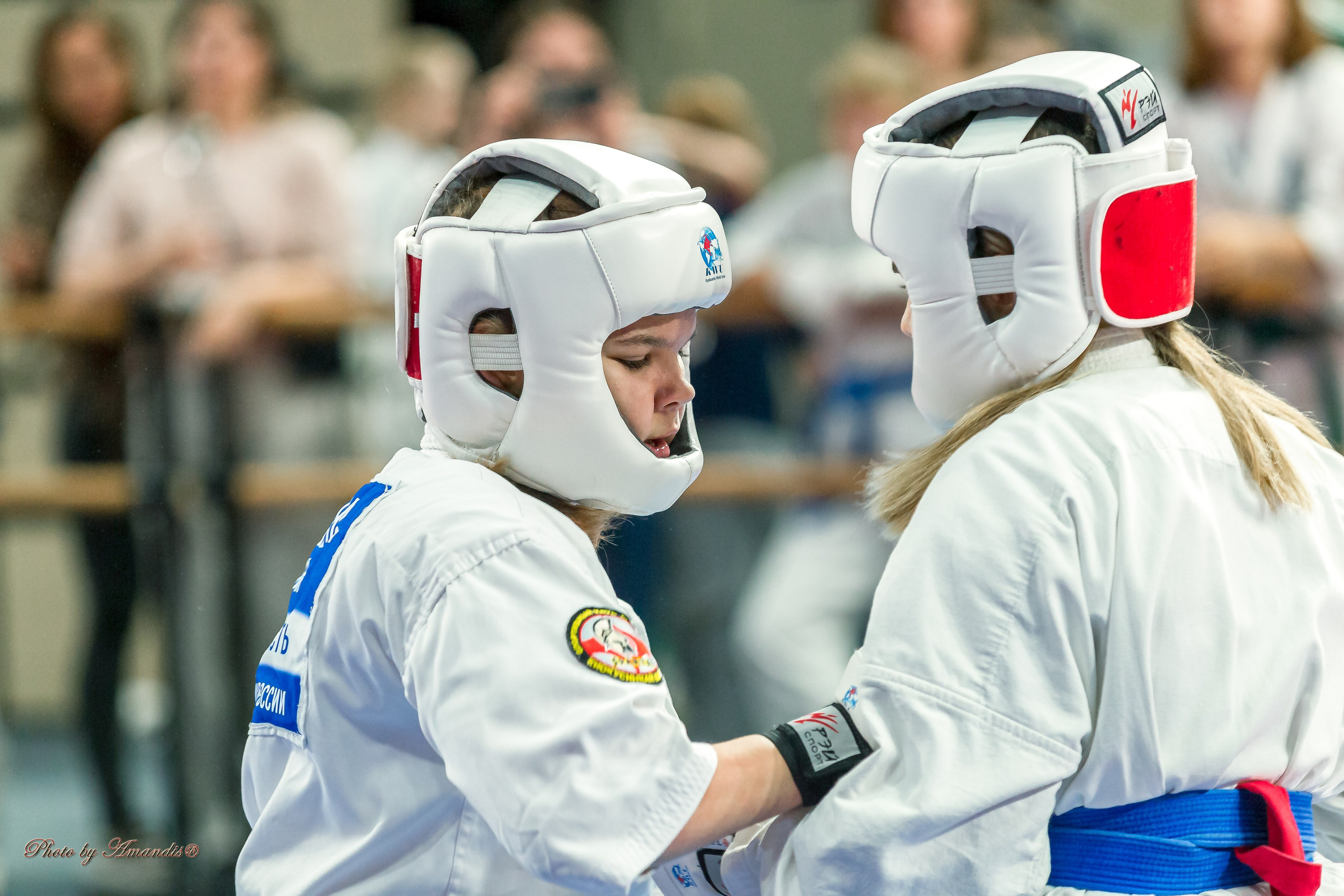 Первенство Московской области по Киокушин в СК «Жаворонки». Репортажная съемка в Москве и области. Анималистика
