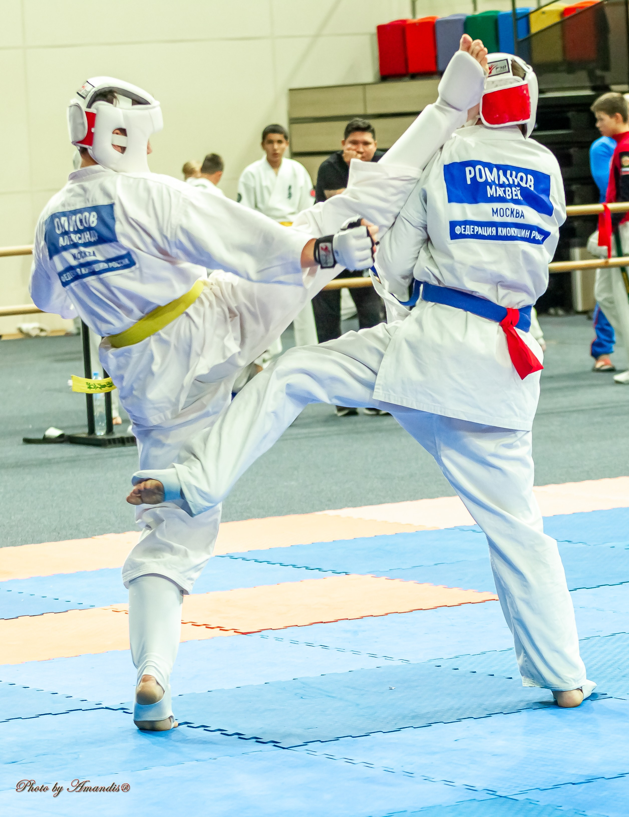 Первенство Московской области по Киокушин в СК «Жаворонки». Репортажная съемка в Москве и области. Анималистика