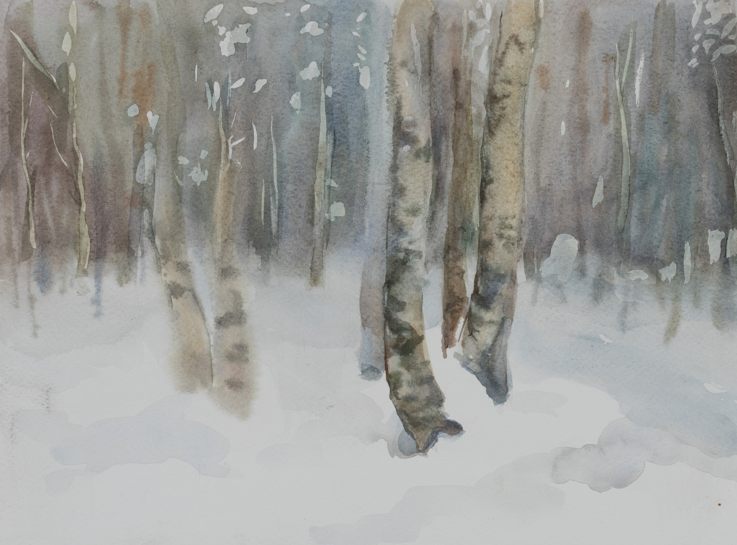 "Зимний сон" 23 х 30см. 2016г.