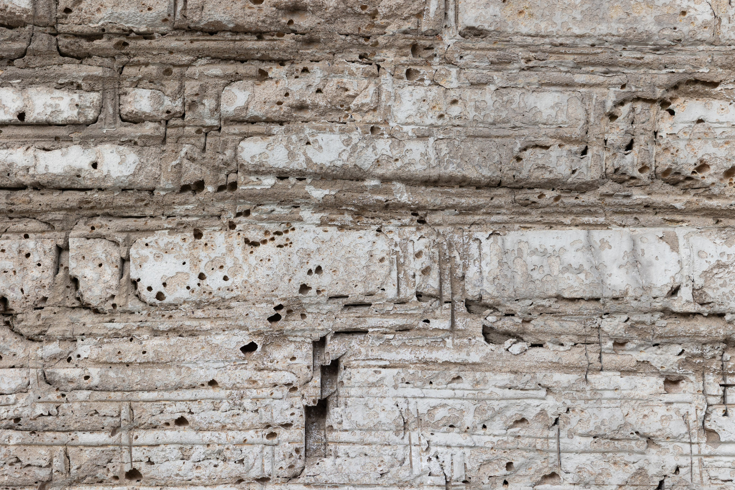 Art prints. Фотограф алина стерхова, алина стерхова фотограф, фотограф москва