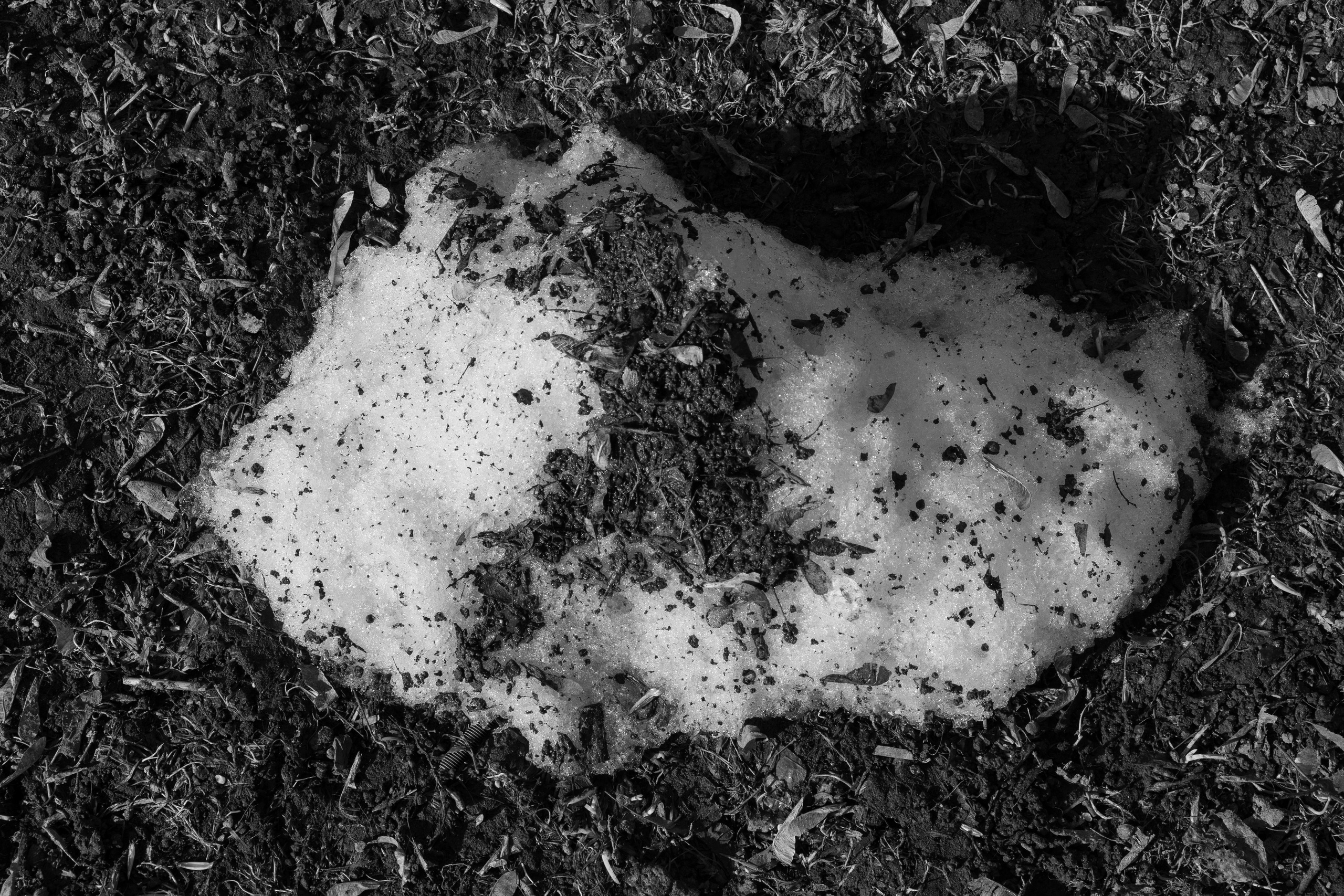 Art prints. Фотограф алина стерхова, алина стерхова фотограф, фотограф москва