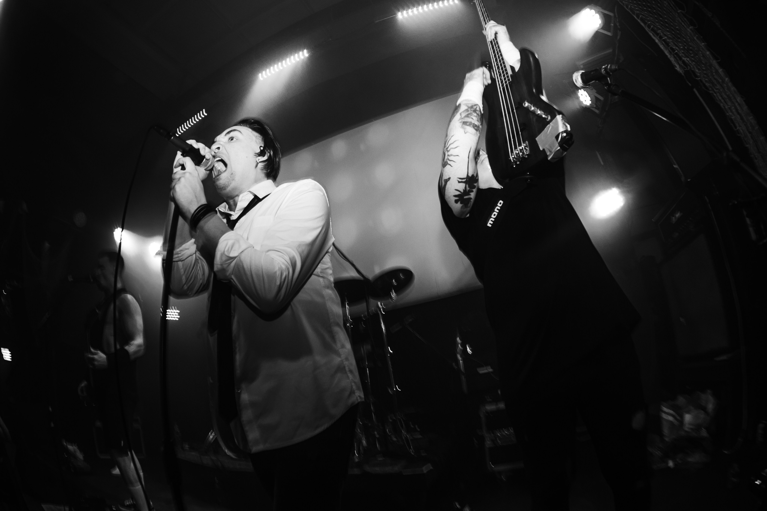 WITNESS EFFECT | 19.04.25 | Ласточка