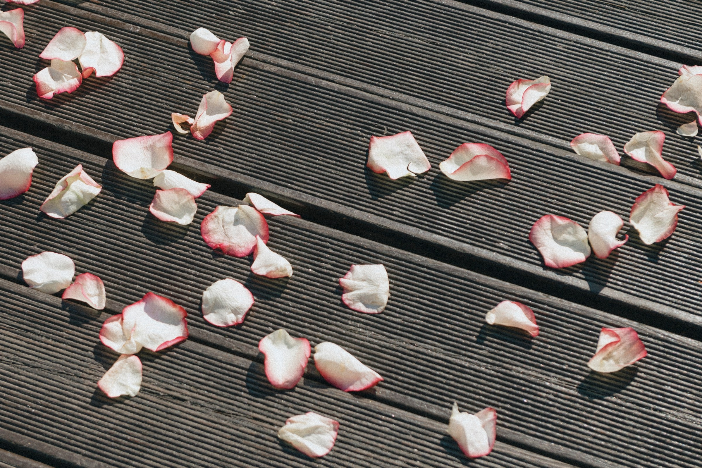 Джон & Алена. Фотограф Кирилл Ряховский