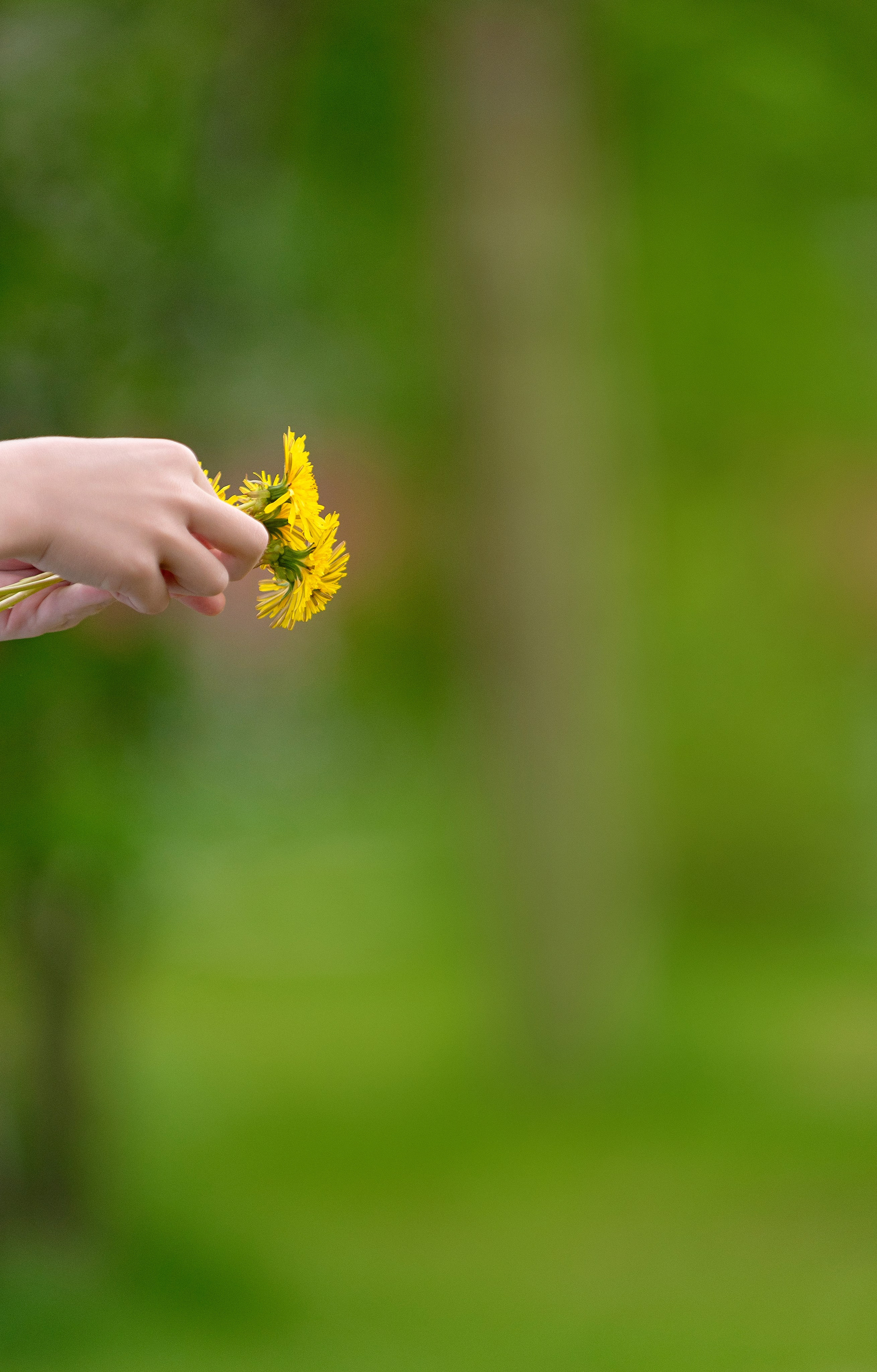 Ярик. Детский и семейный фотограф в Сургуте и Нефтеюганске Анна Старцева