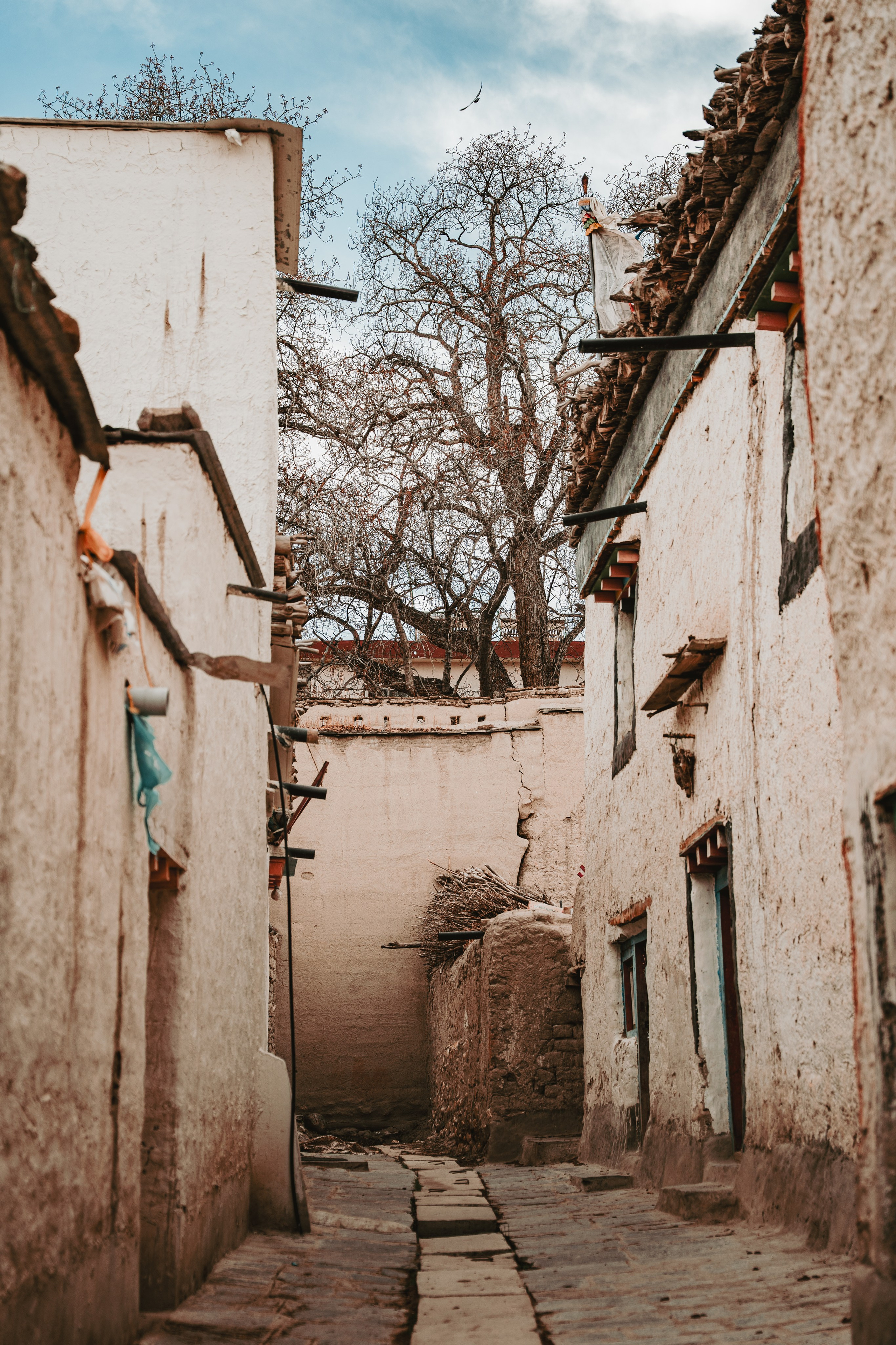 Королевство Мустанг. Dmitry Ippolitov