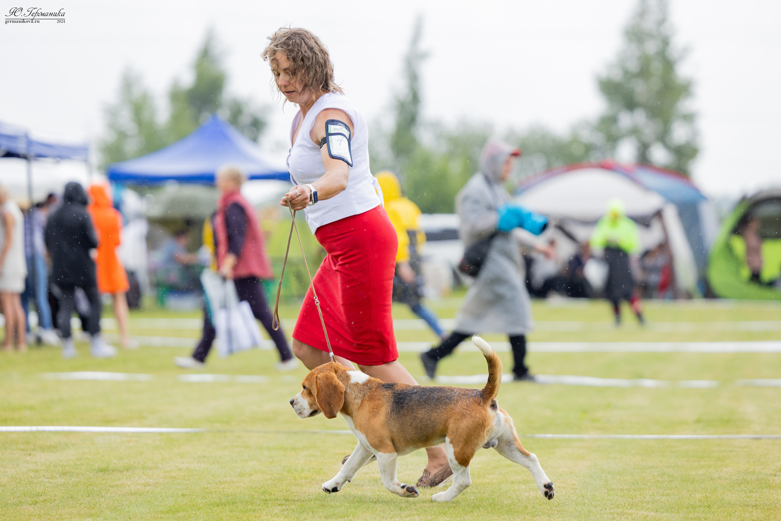 Ярославль 21.07.24 и Балашиха 13.07.24. Фотограф-анималист Юлия Германика