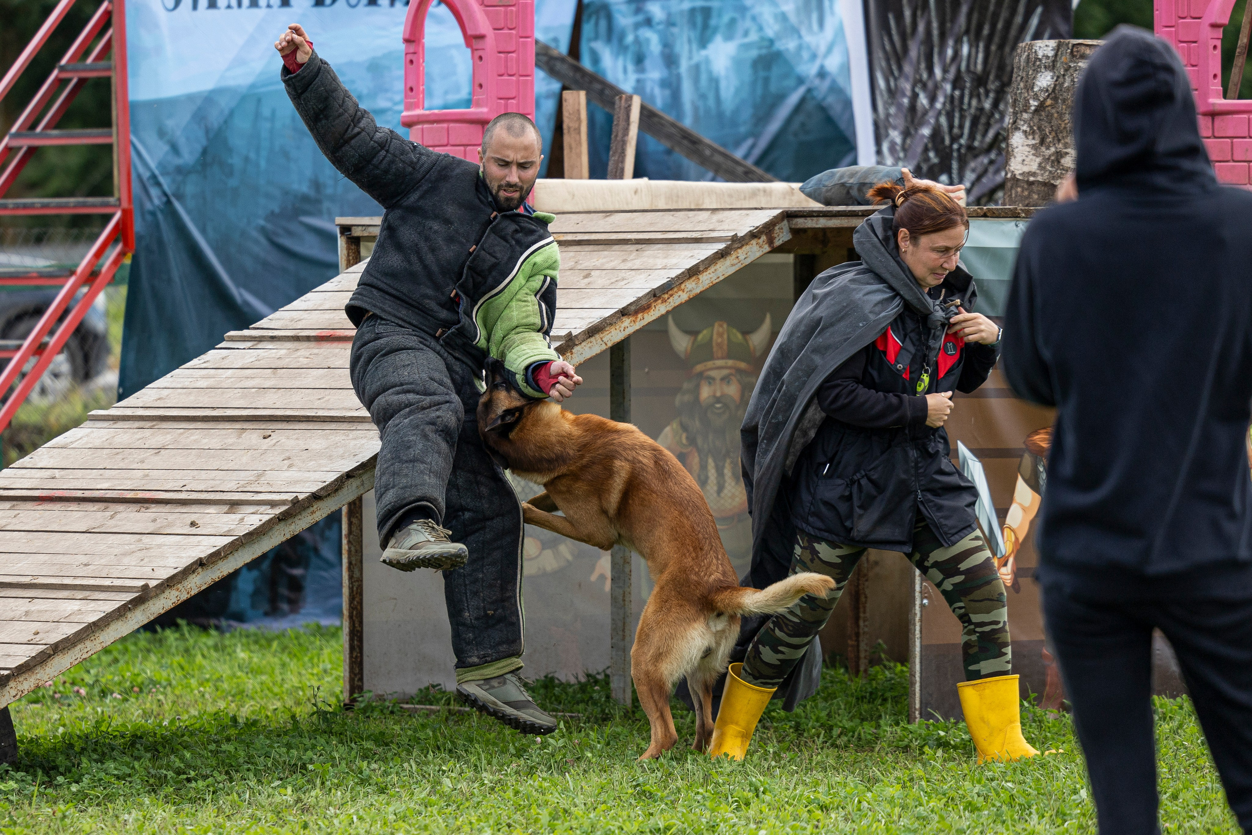 Соревнования по Мондьорингу г. Вологда 10-11.08.2024. Фотограф-анималист Анна Маринич