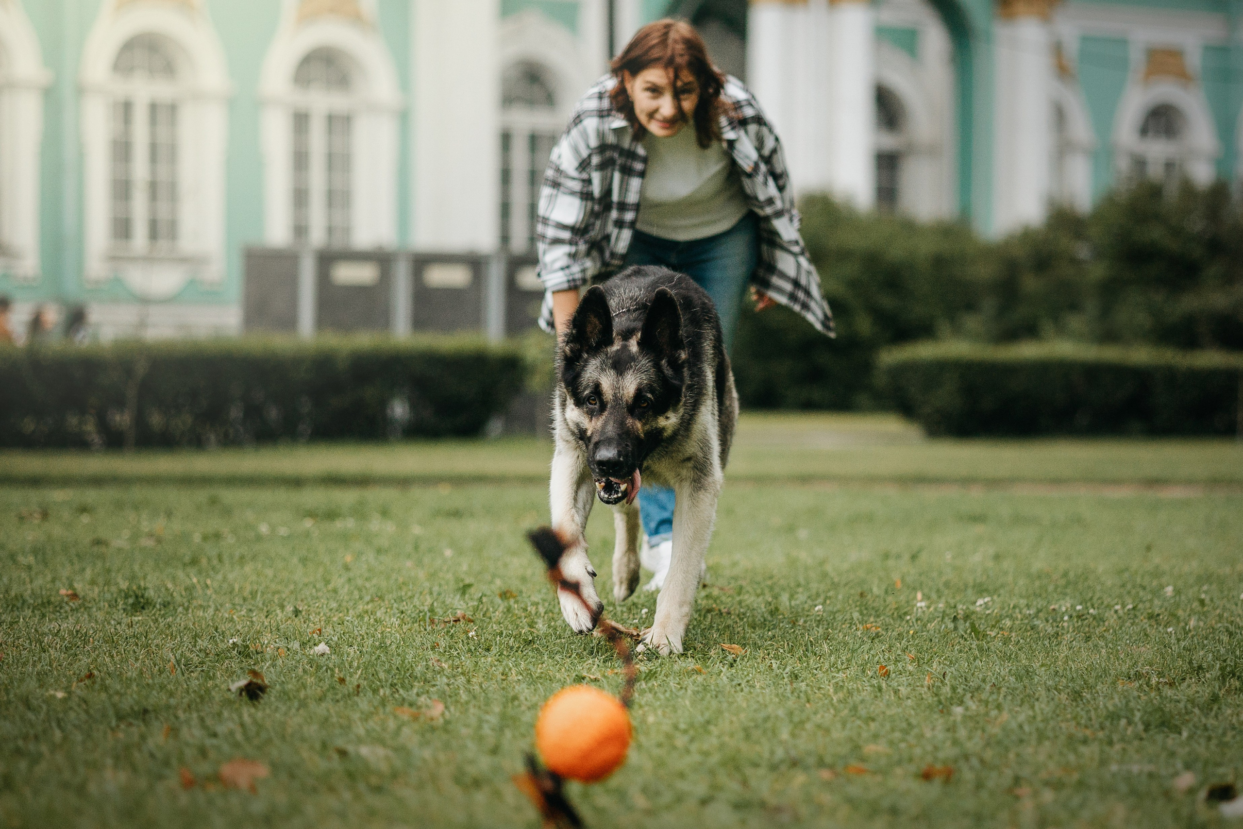 Рей и Ксения. Фотограф — Анималист | Санкт-Петербург