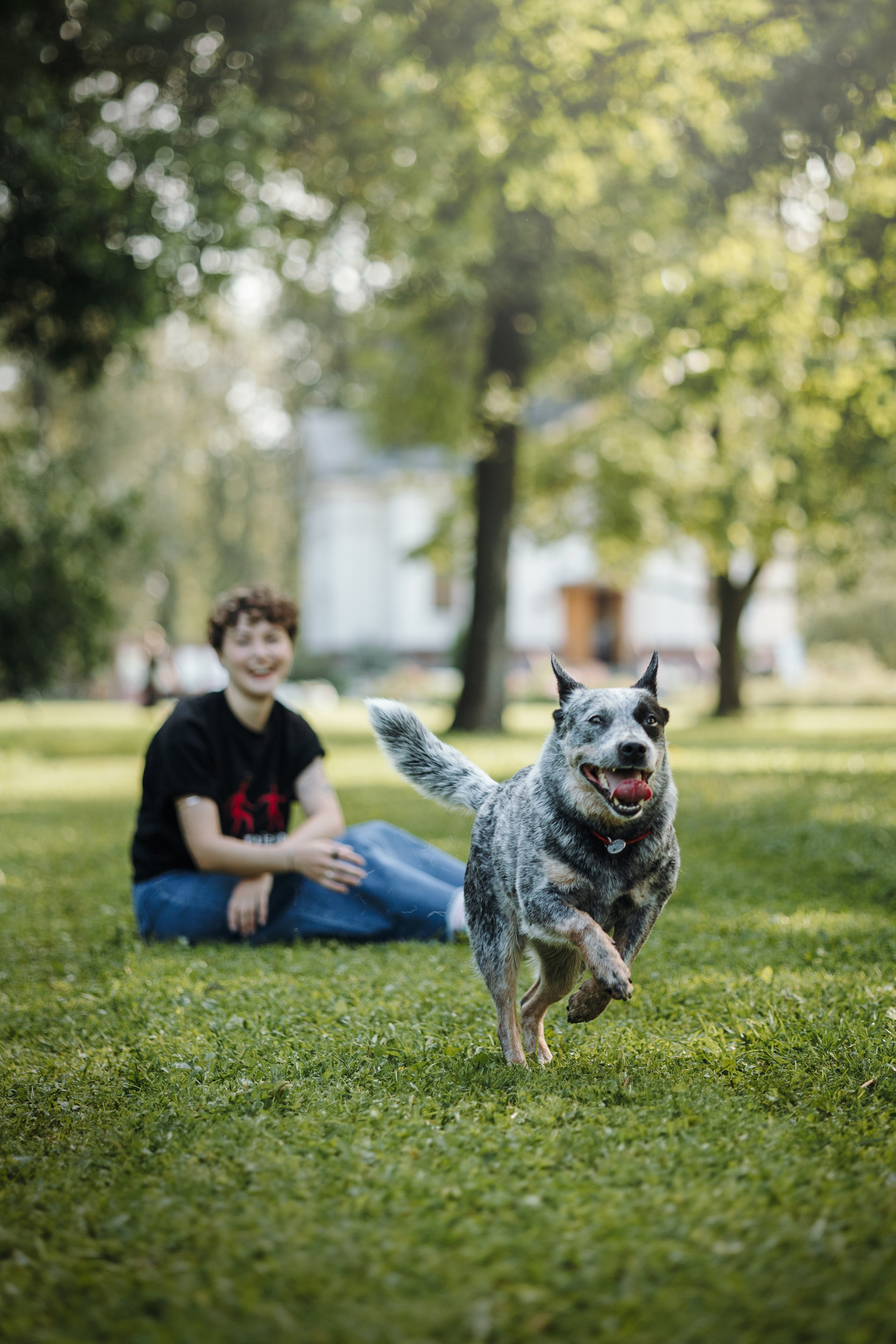 Кода и ее семья. Фотограф — Анималист | Санкт-Петербург