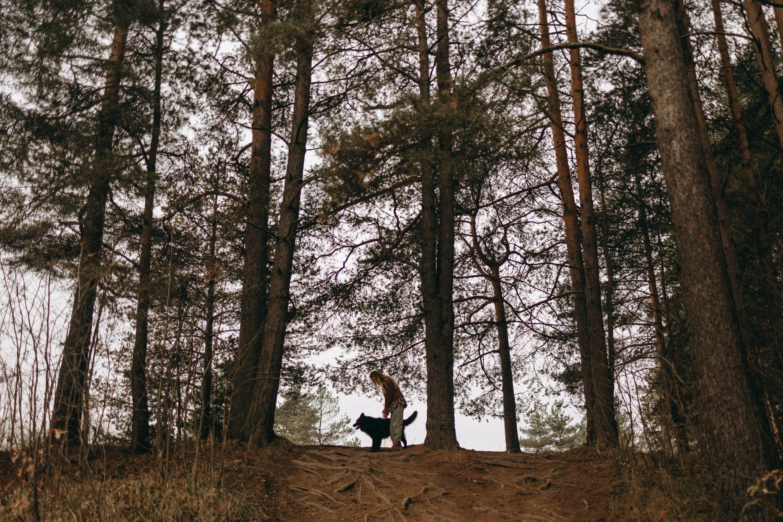 Лора и Джанго. Фотограф — Анималист | Санкт-Петербург